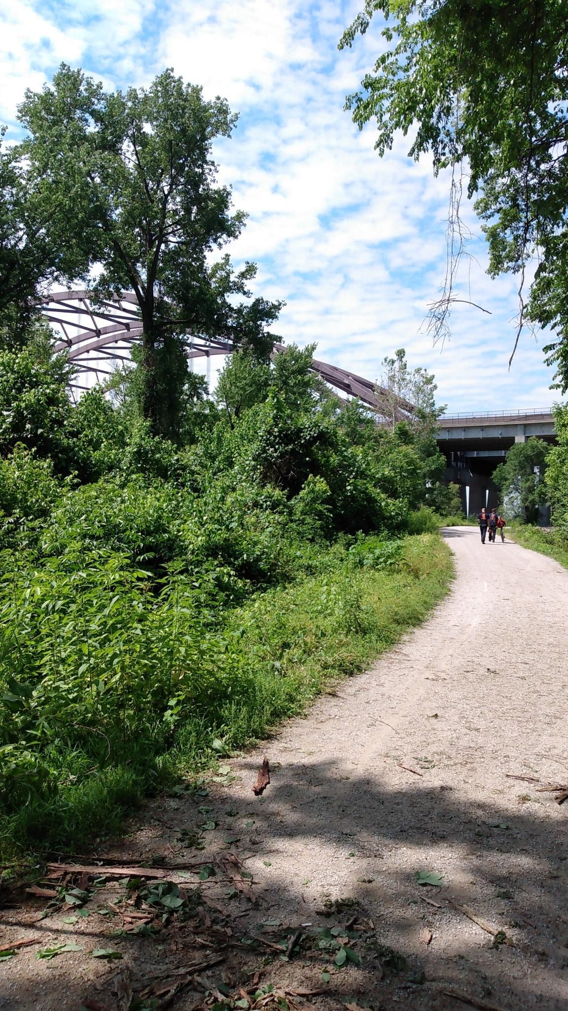 People walk on a sunny dirt path through green foliage, with a bridge. - Katy Trail State Park