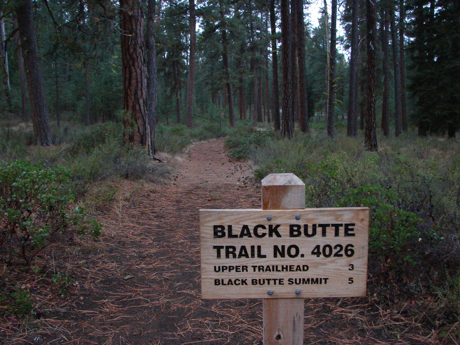 A wooden trail sign marks a dirt path leading into a dense forest.