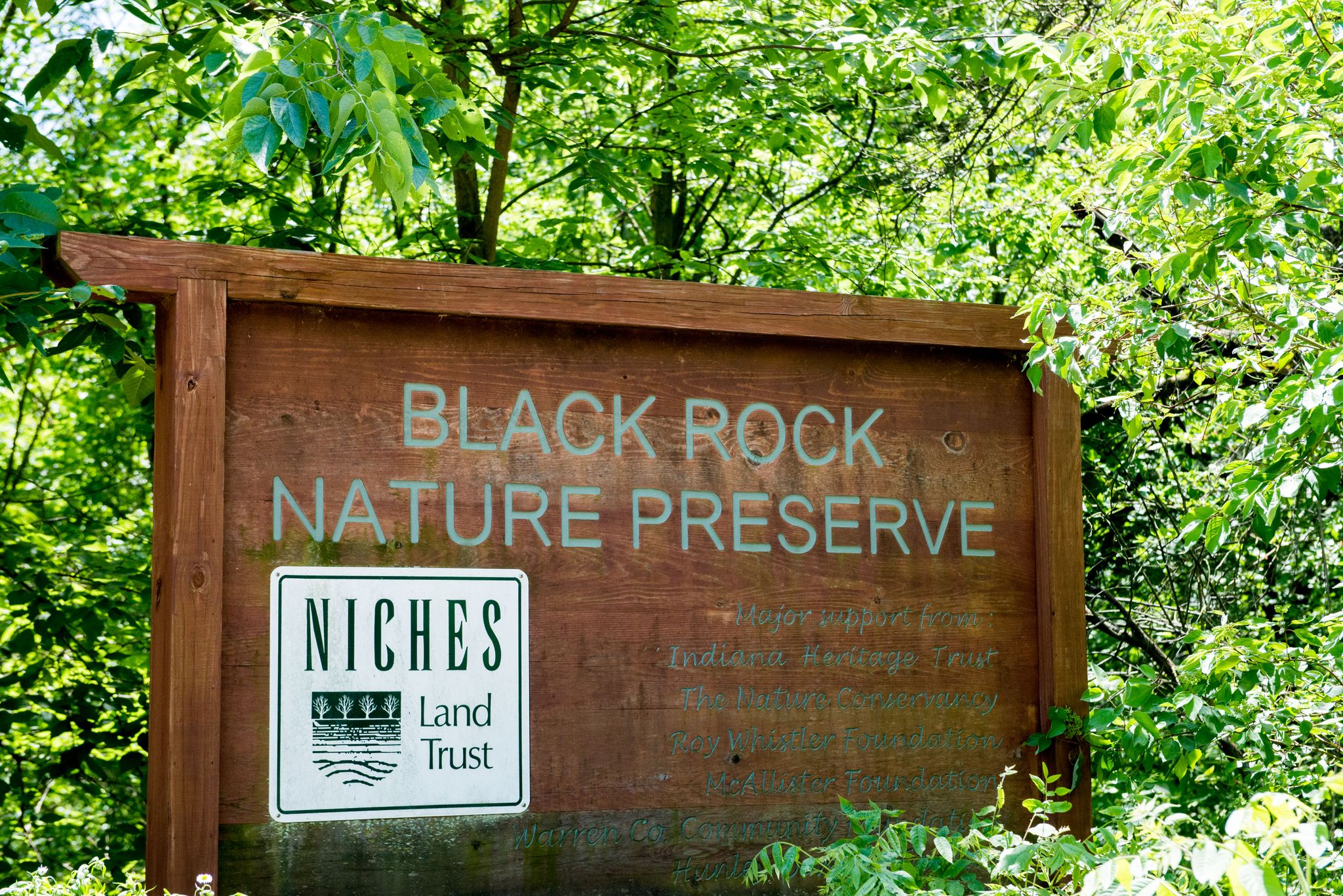 A wooden sign partially obscured by bright green foliage in natural light. - Black Rock Nature Preserve