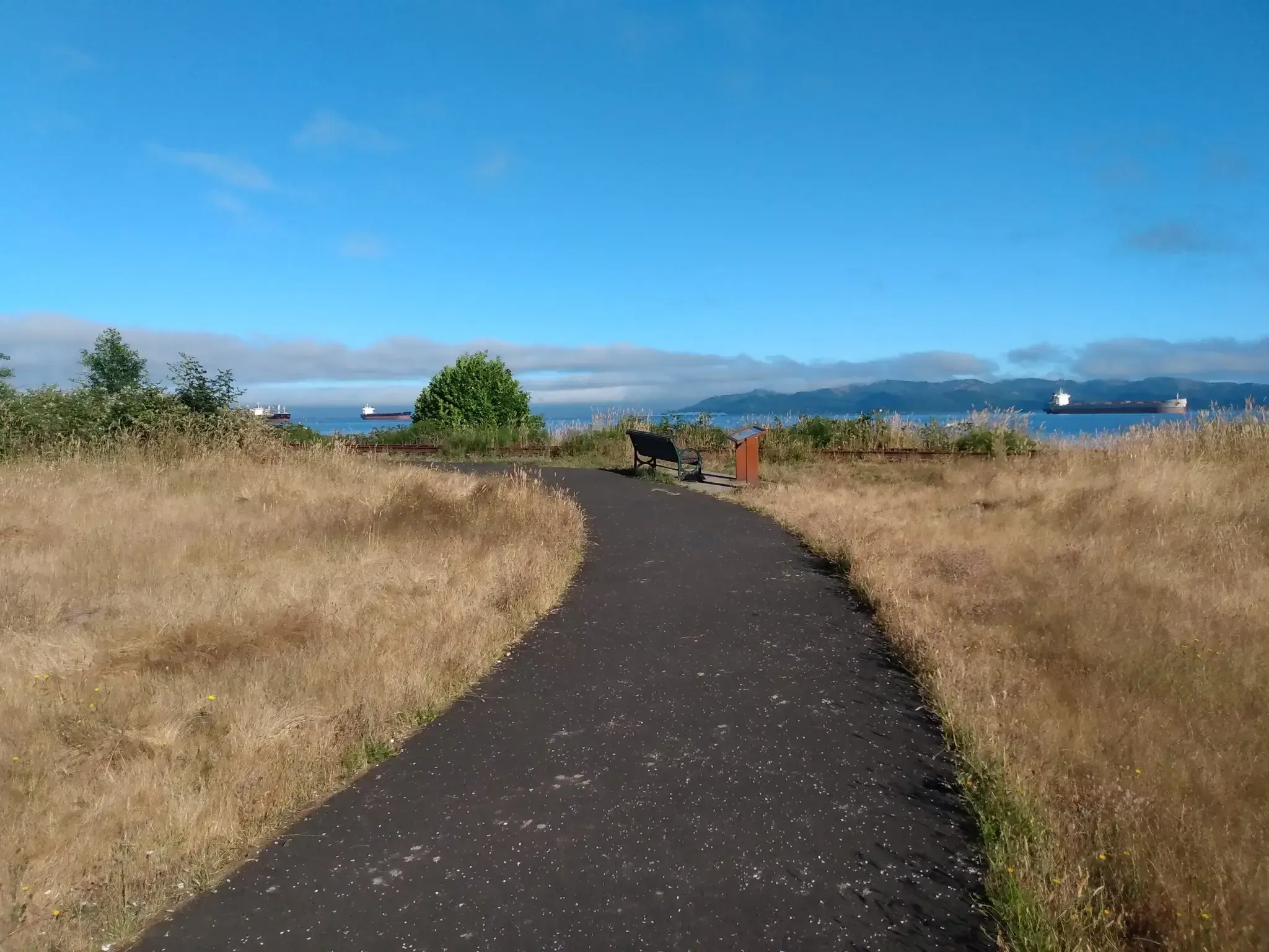 Paved path through dry grass to a bench overlooking water and distant ships. - Astoria Riverwalk