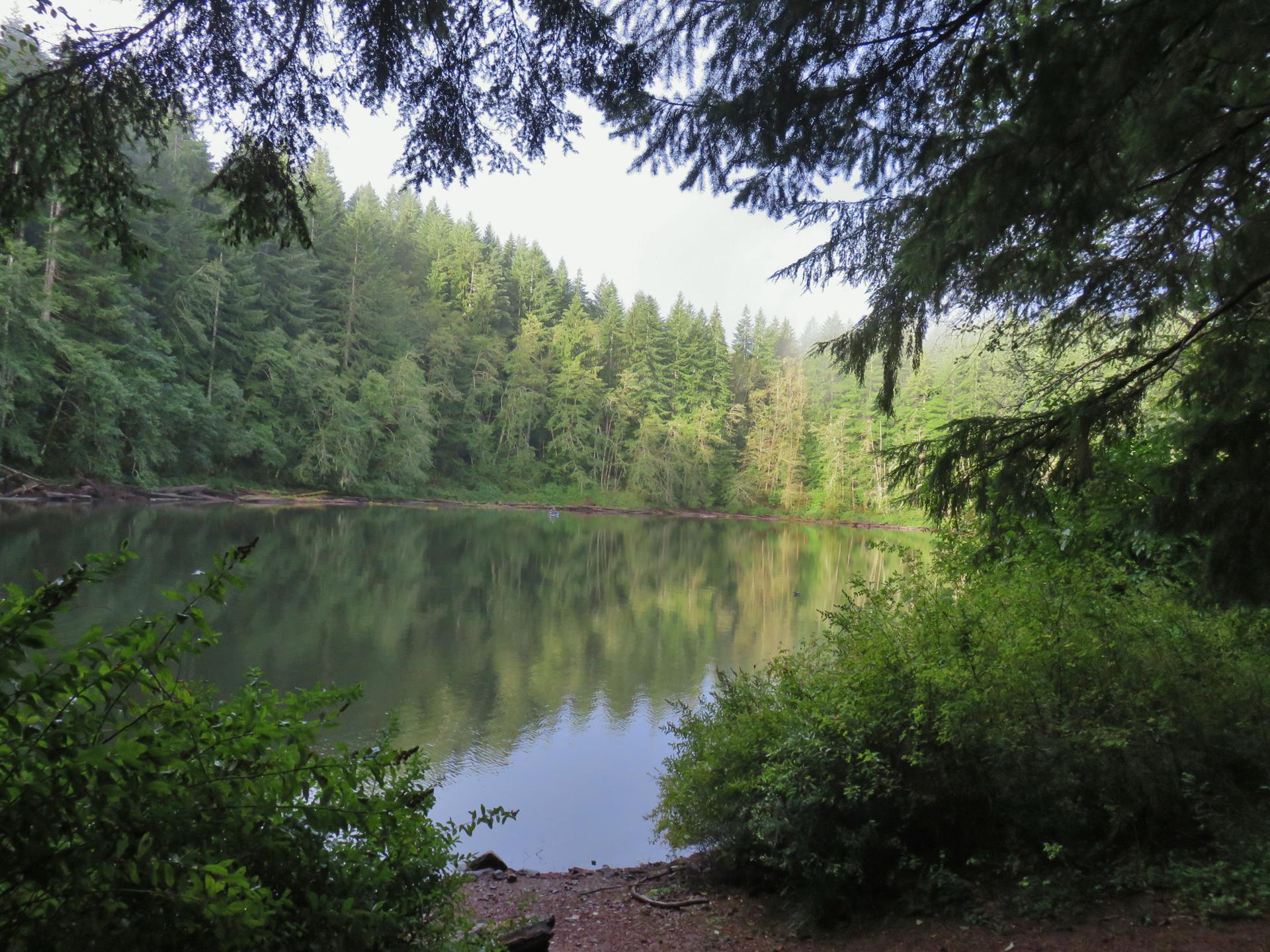 Calm lake reflecting dense evergreen forest under an overcast sky.