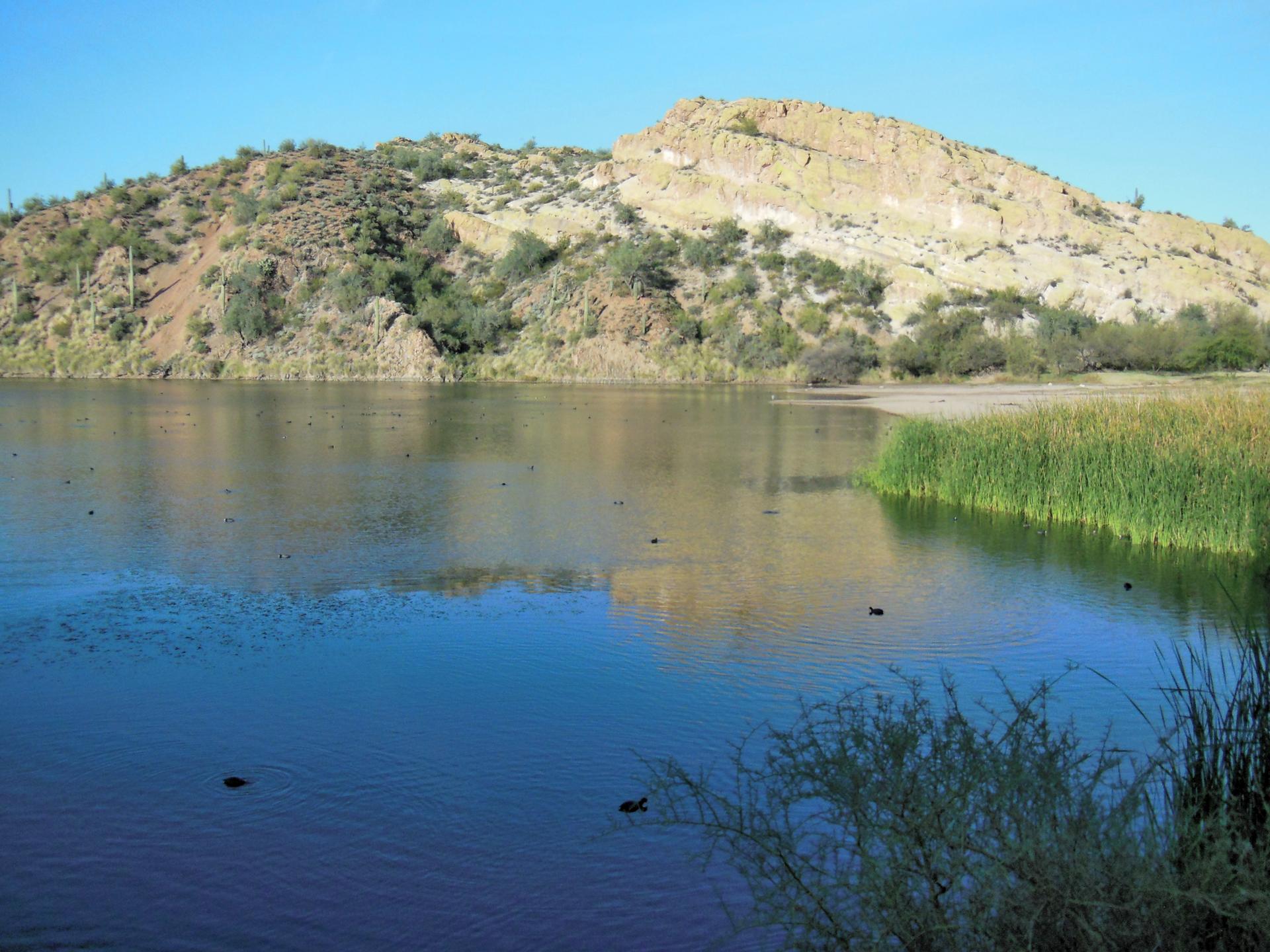 A calm lake with reeds and rocky hills under a bright blue sky.