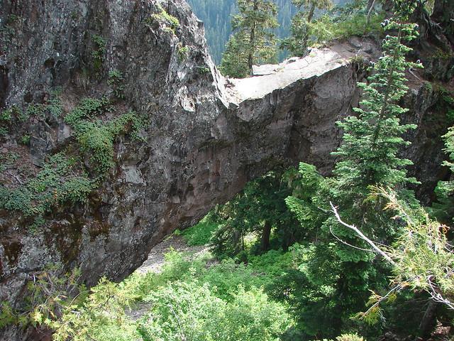 A natural rock bridge spans a gap between cliffs in a sunny, green forest.