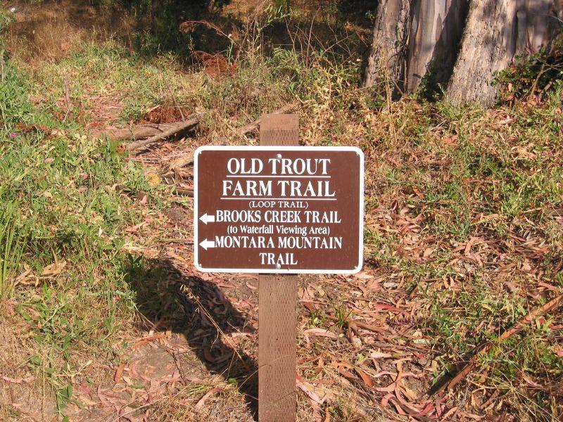 A brown trail sign stands in a sunny, grassy, wooded area.