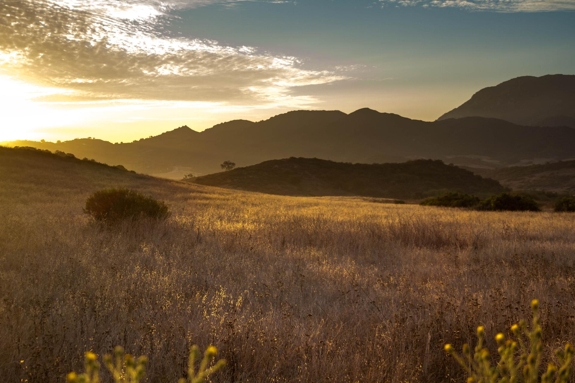 Golden sunset light illuminates a vast dry grassy field with distant mountains.