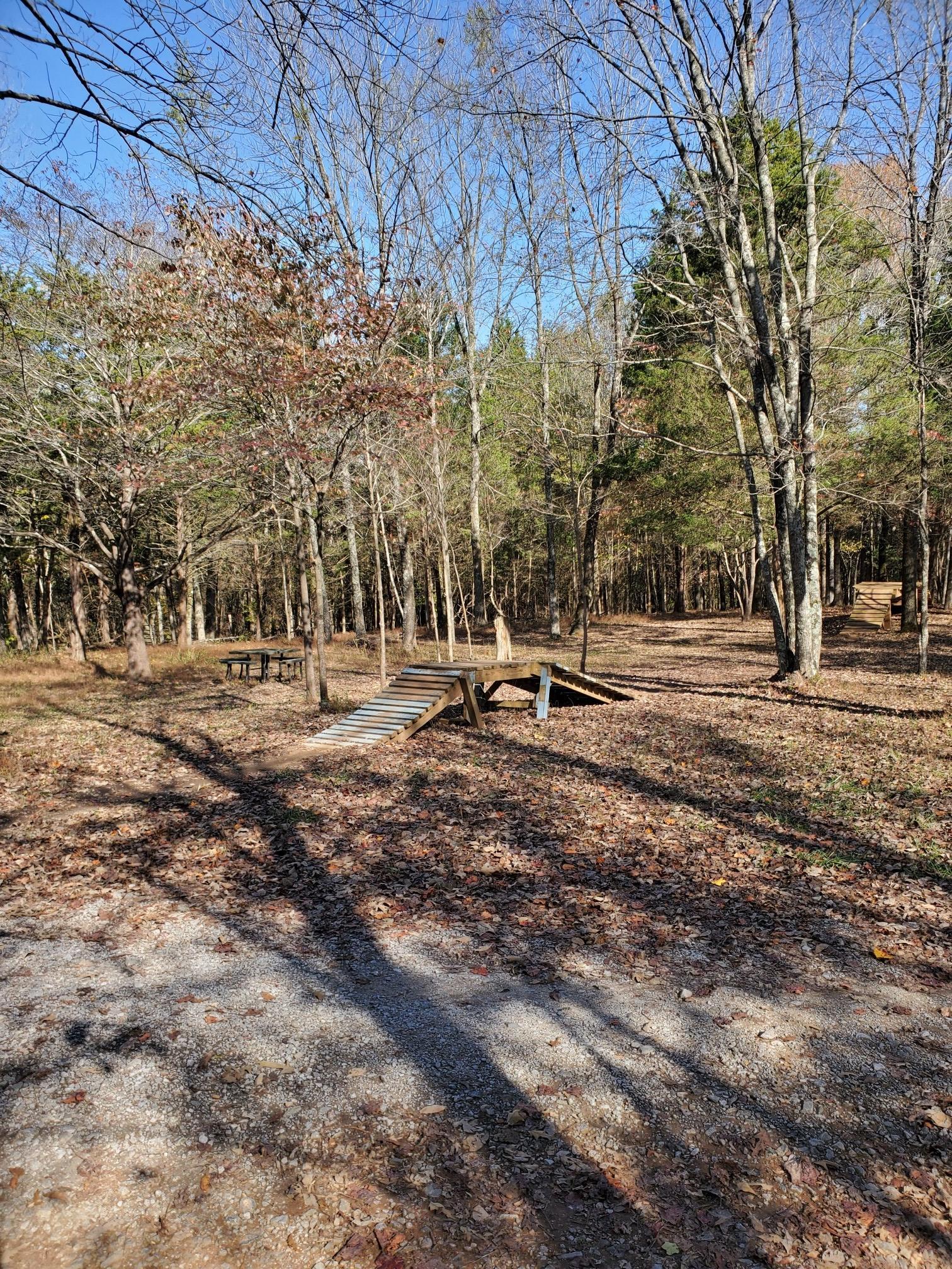 Wooden bike ramps in a sunny, sparse forest with fallen leaves.