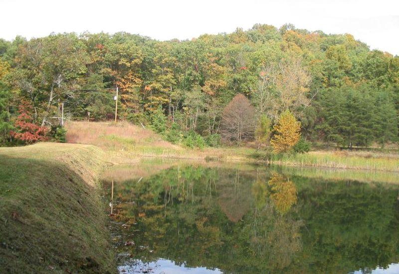 A calm pond reflects a forested hill with autumn trees under soft light.
