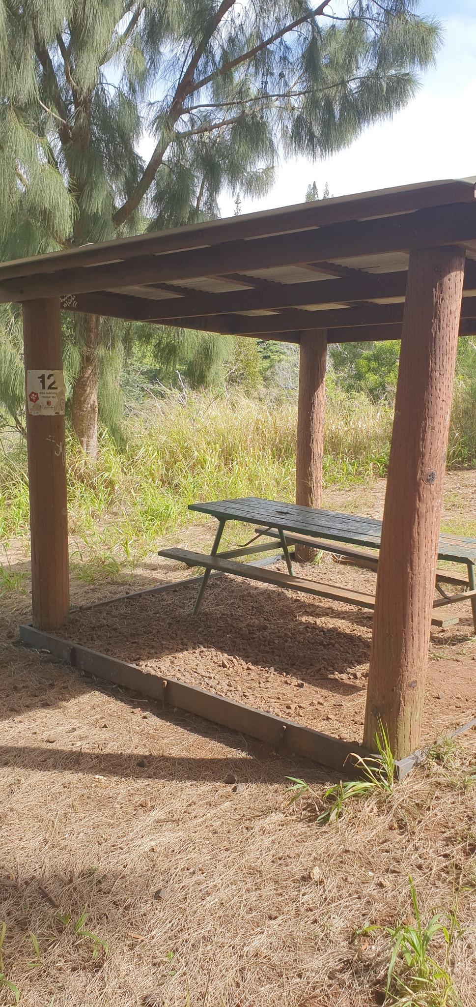 A wooden picnic shelter with a table and benches on a sunny day.