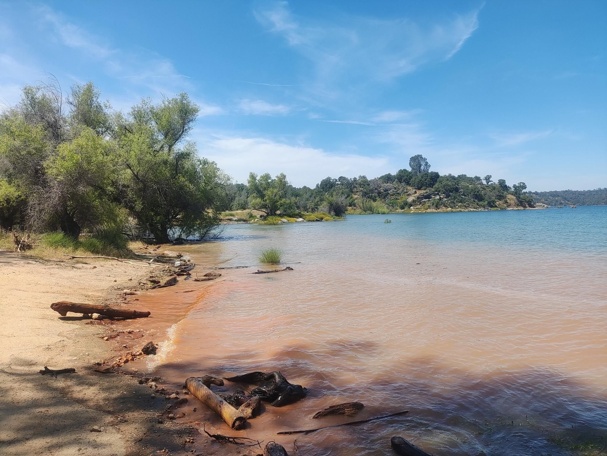 A sandy beach by a lake with green trees under a bright blue sky. - Doton's Point and Blue Pipe Loop