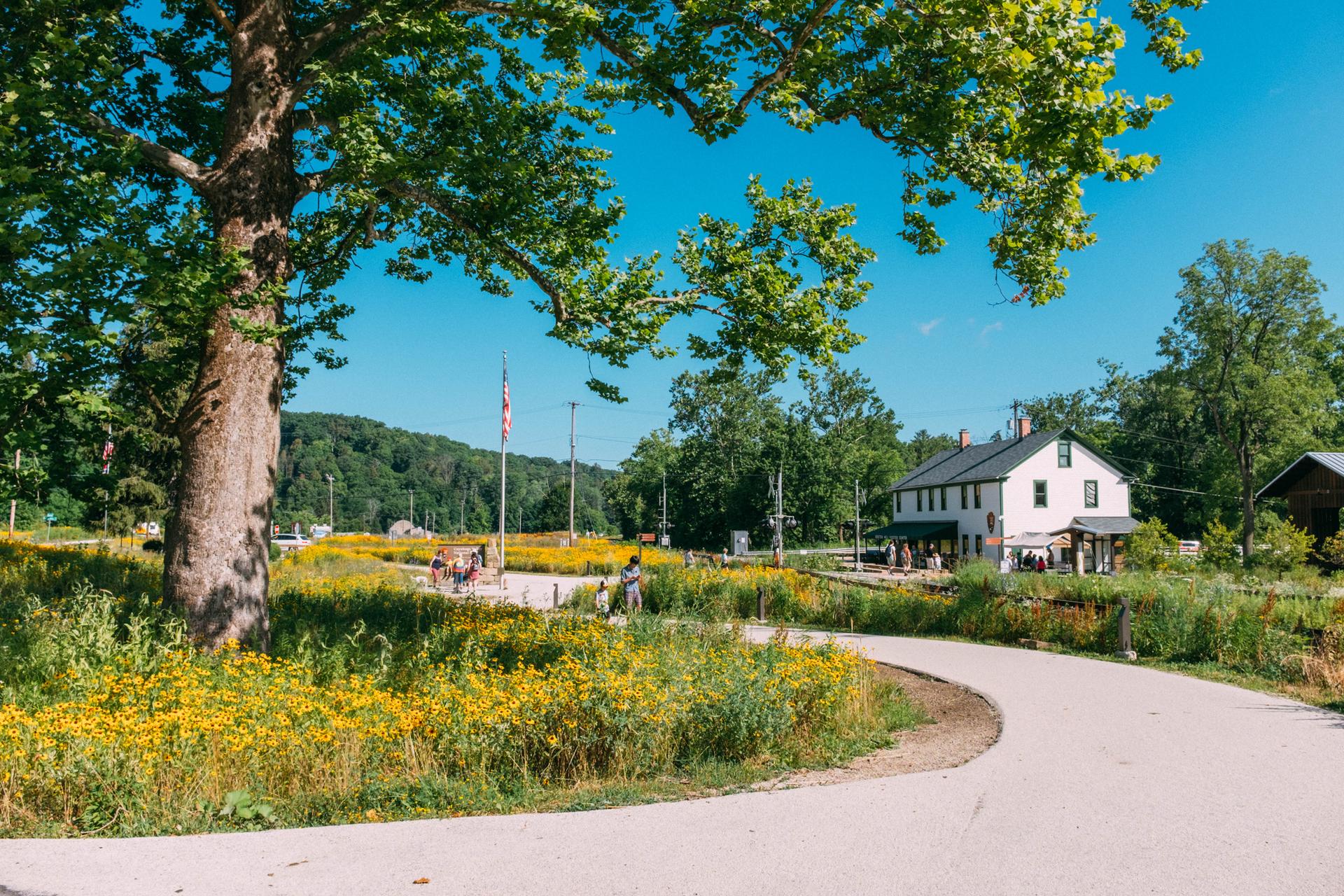 Sunny day with a white house, yellow flowers, and people on a path.