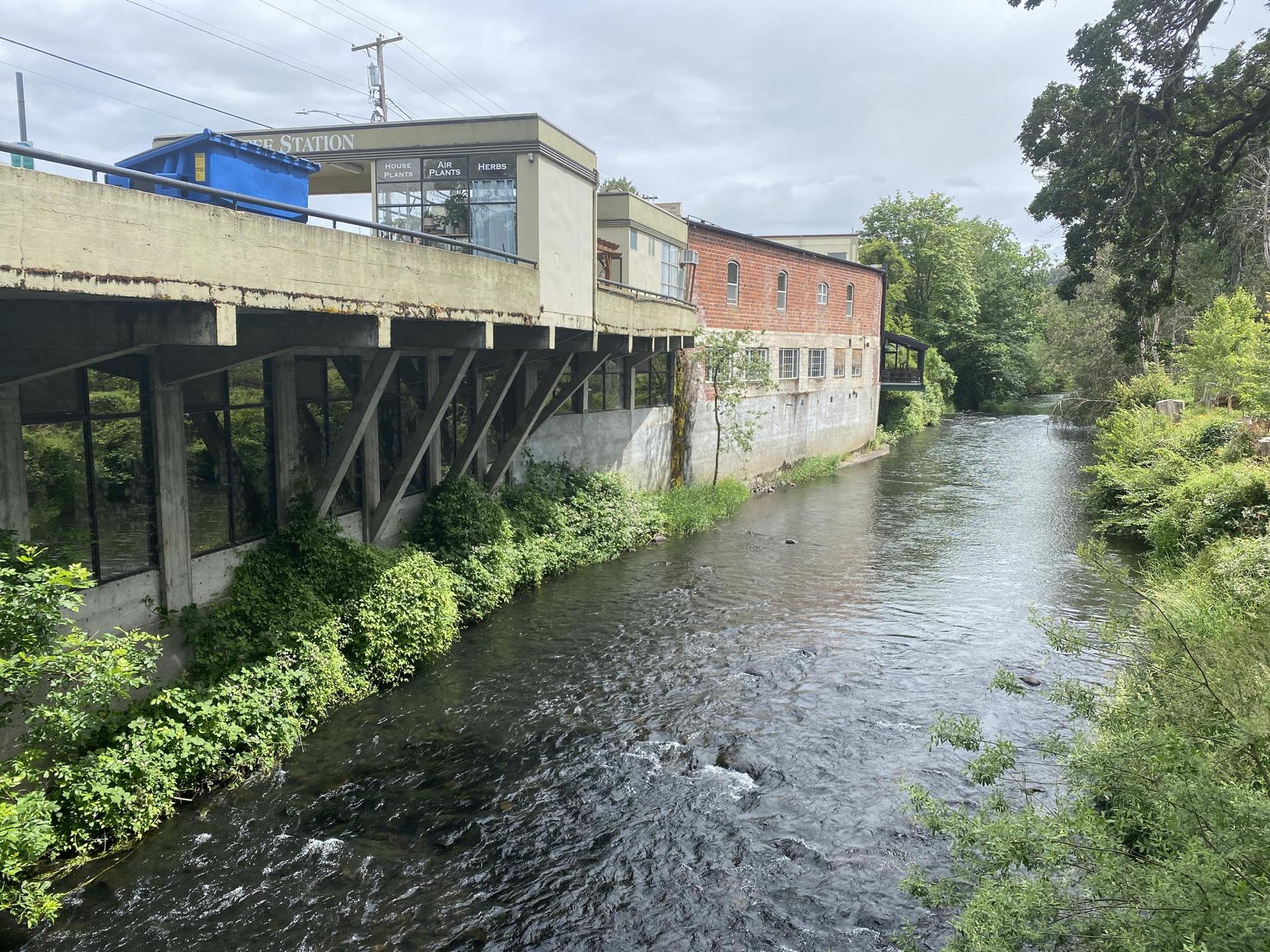 River flowing past a multi-story building with green foliage.