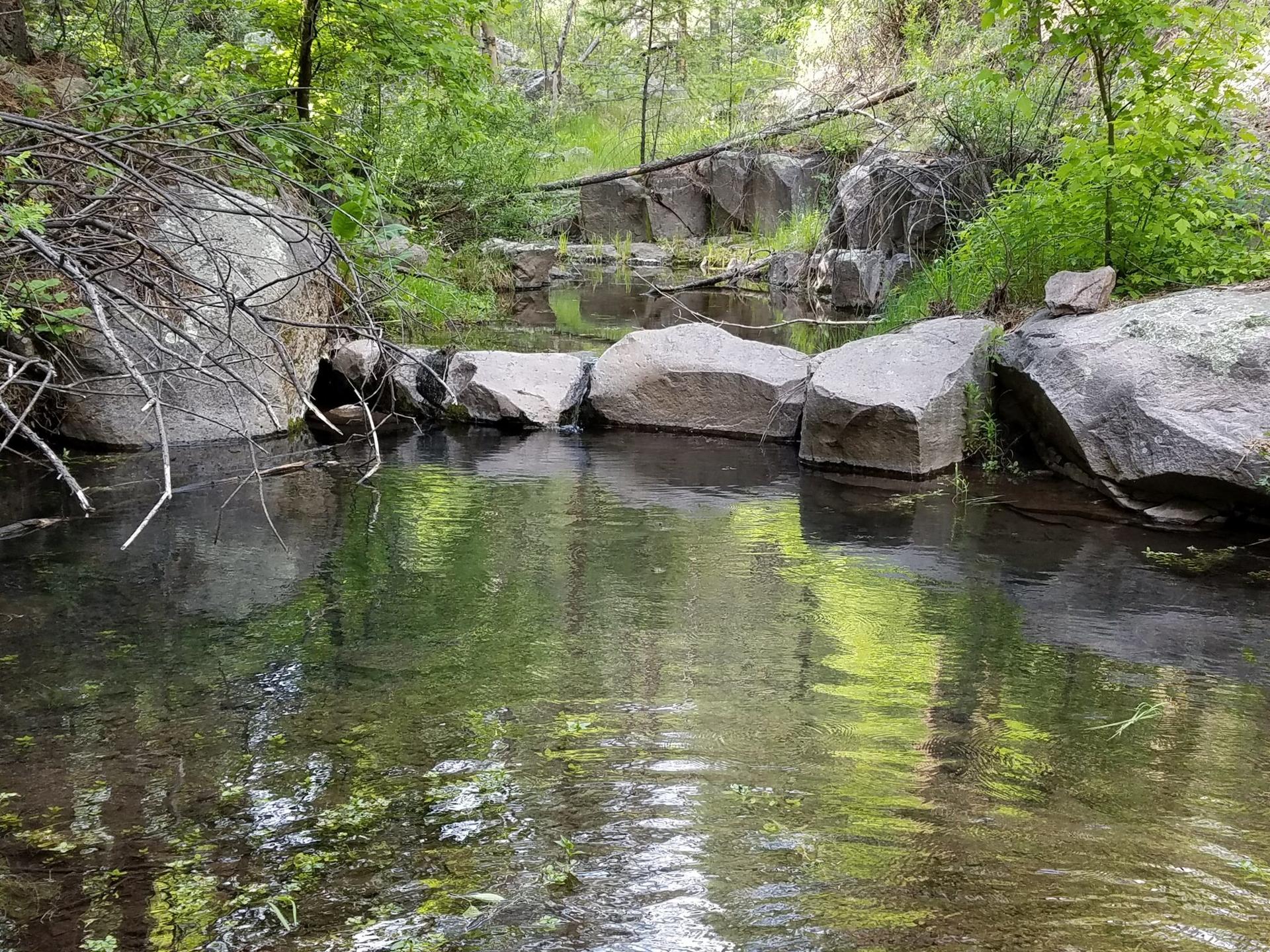 Clear stream flowing past large rocks and green trees under bright light.