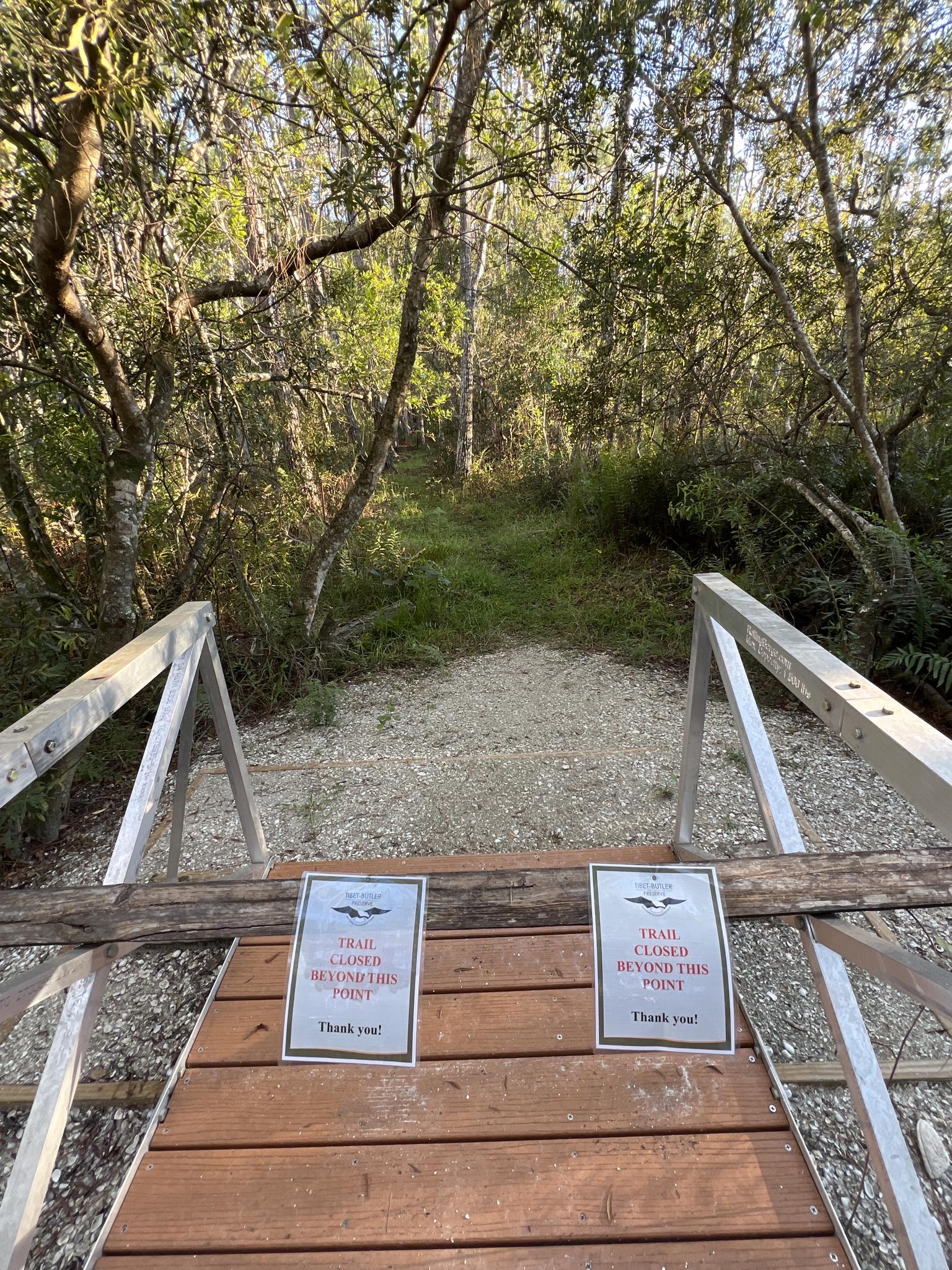 Wooden bridge with "Trail Closed" signs leading to a sunlit, dense forest path.