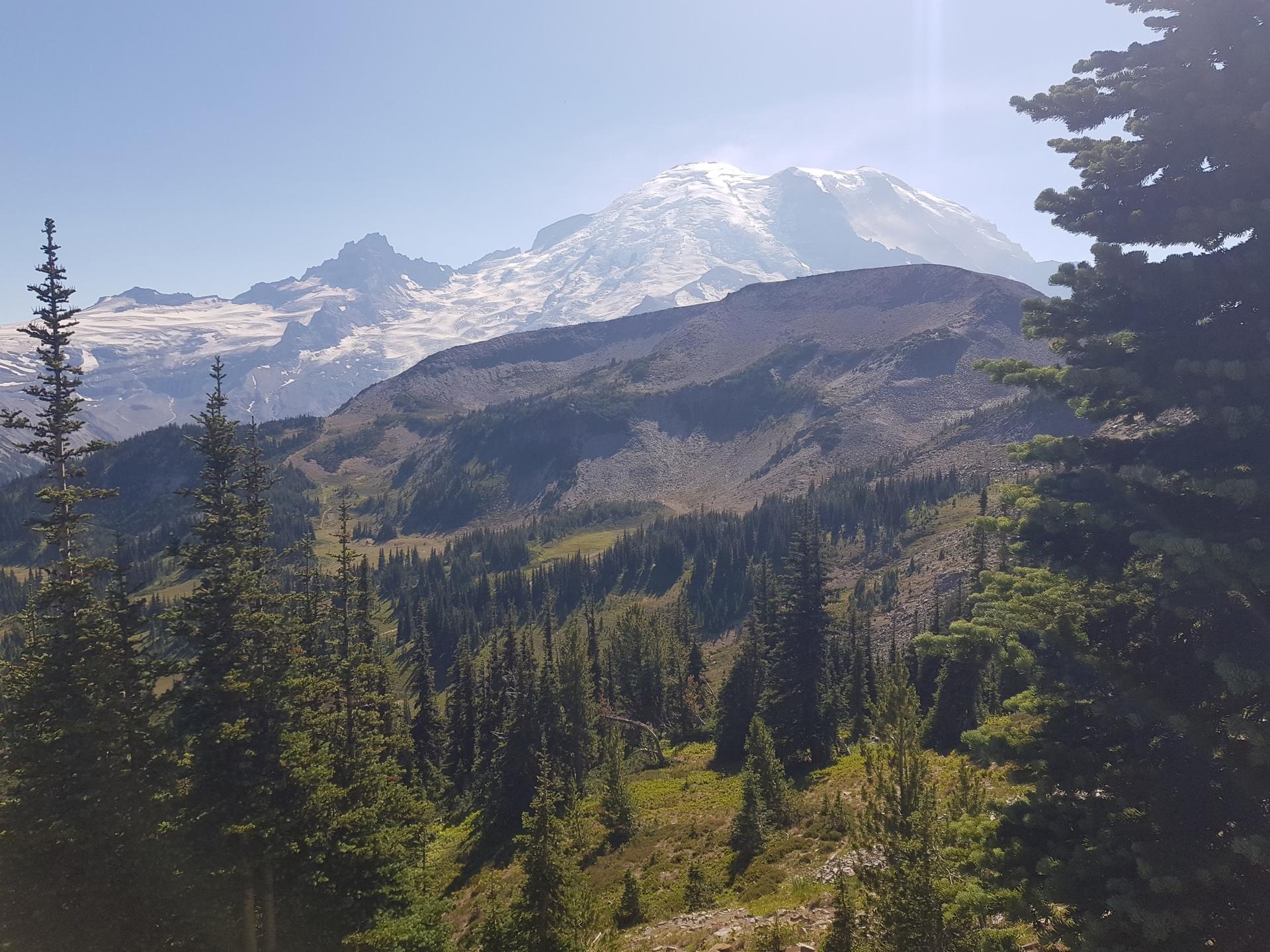 Snow-capped mountain peak above a forested valley under bright sunlight.