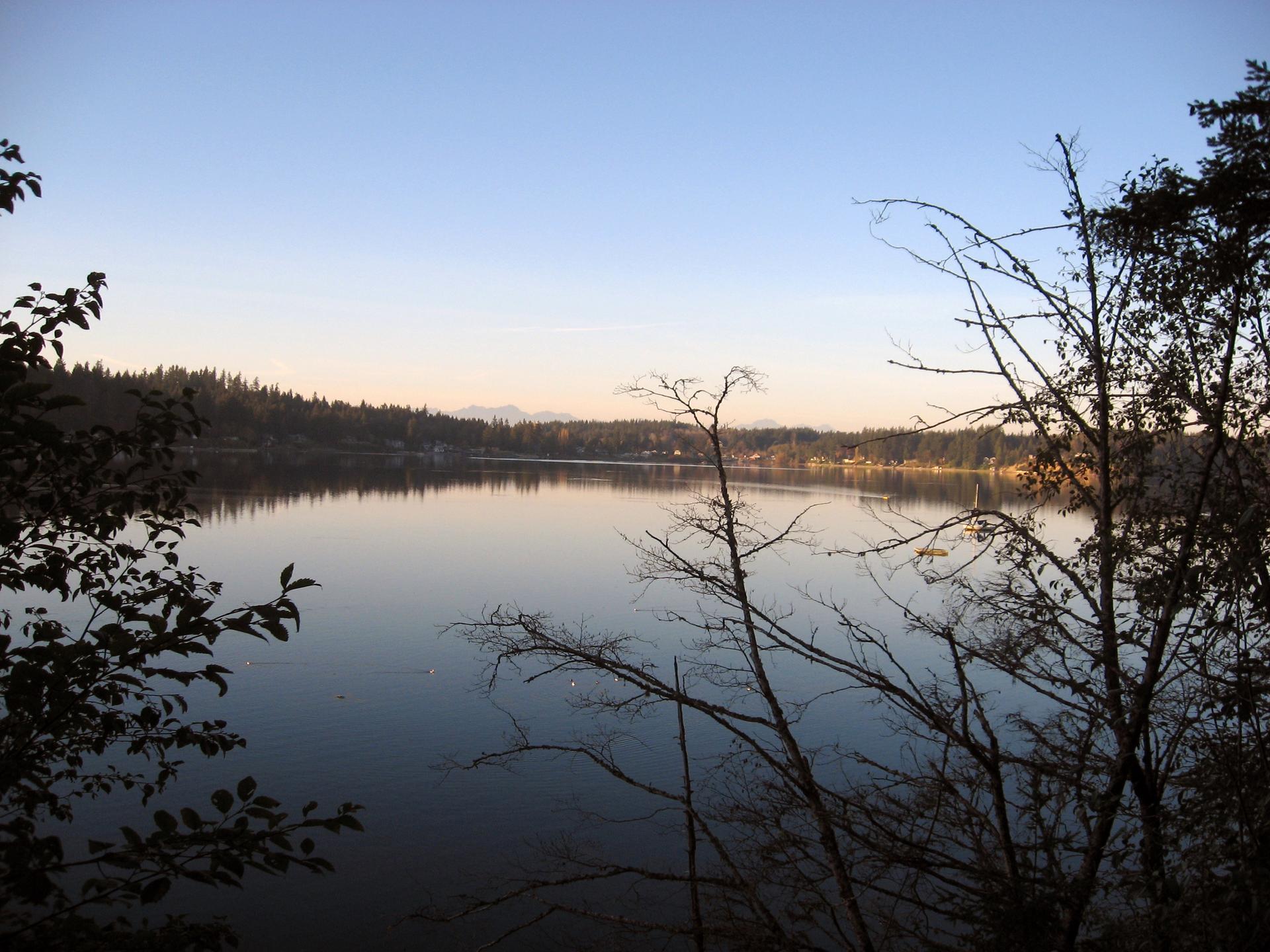 Serene lake at dusk, reflecting the sky, framed by silhouetted trees.