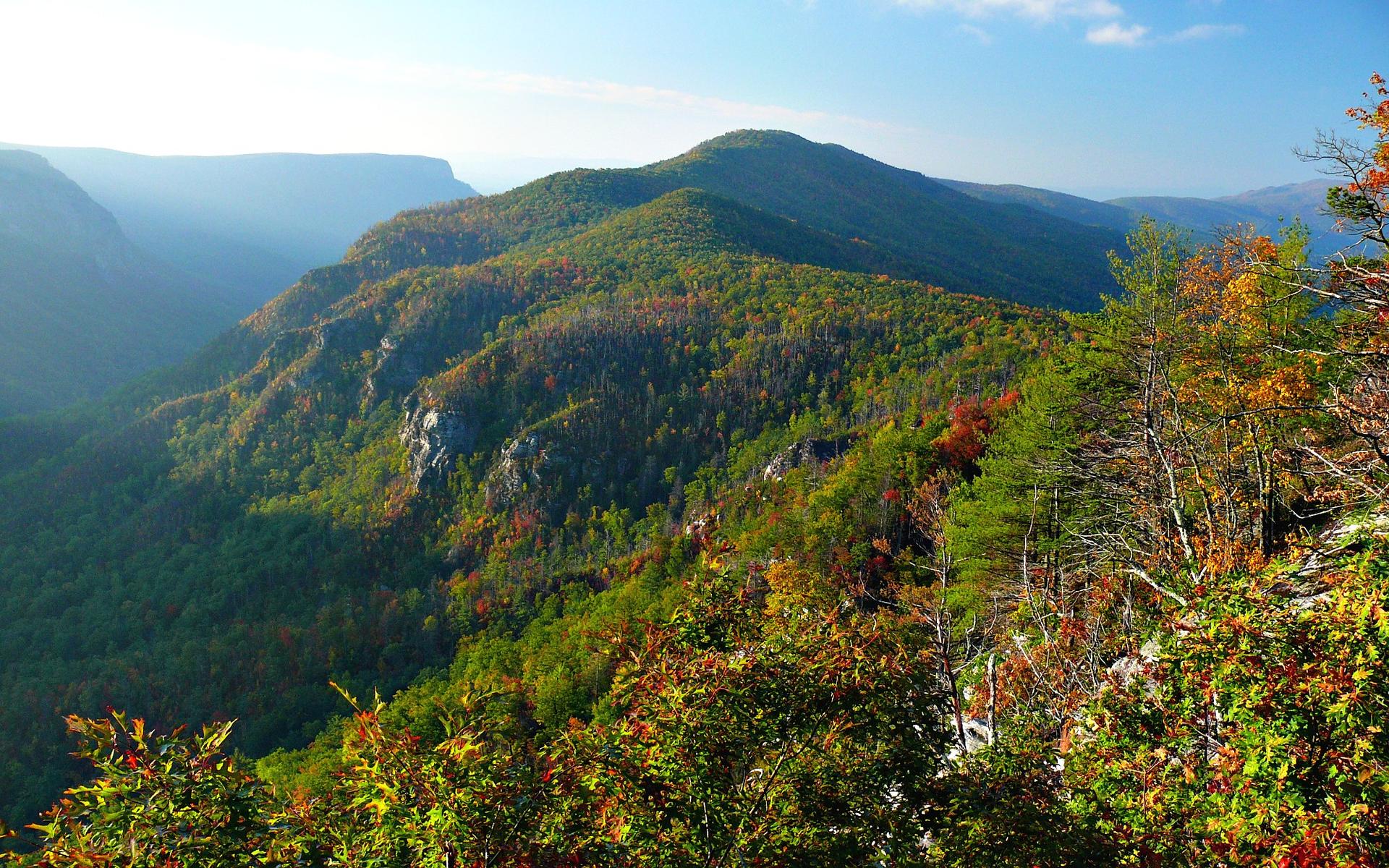Panoramic view of sunlit, forested mountains and valleys under a blue sky.