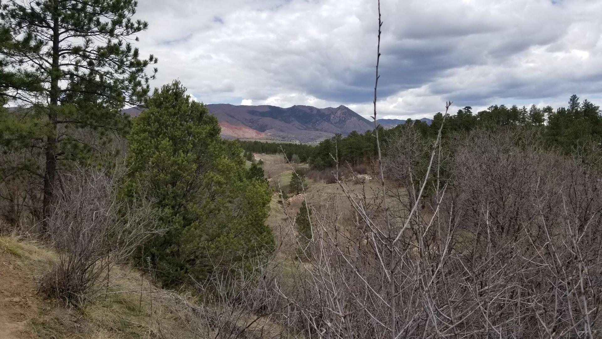 Overcast view of a valley and distant mountains through dense brush.