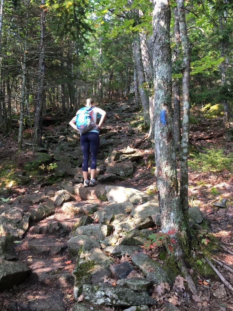 A person with a backpack hiking up a rocky, steep forest trail.