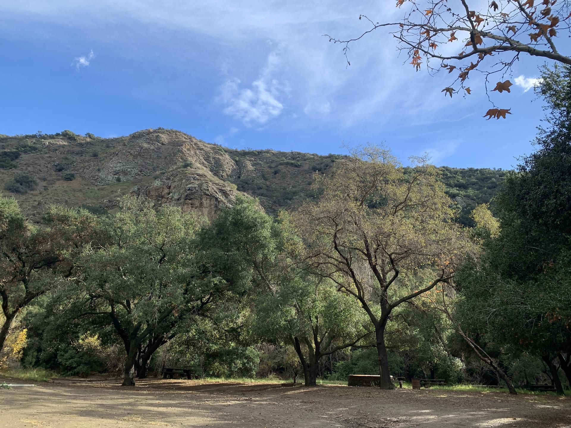Wide view of a dirt clearing with many trees, backed by a large hill.