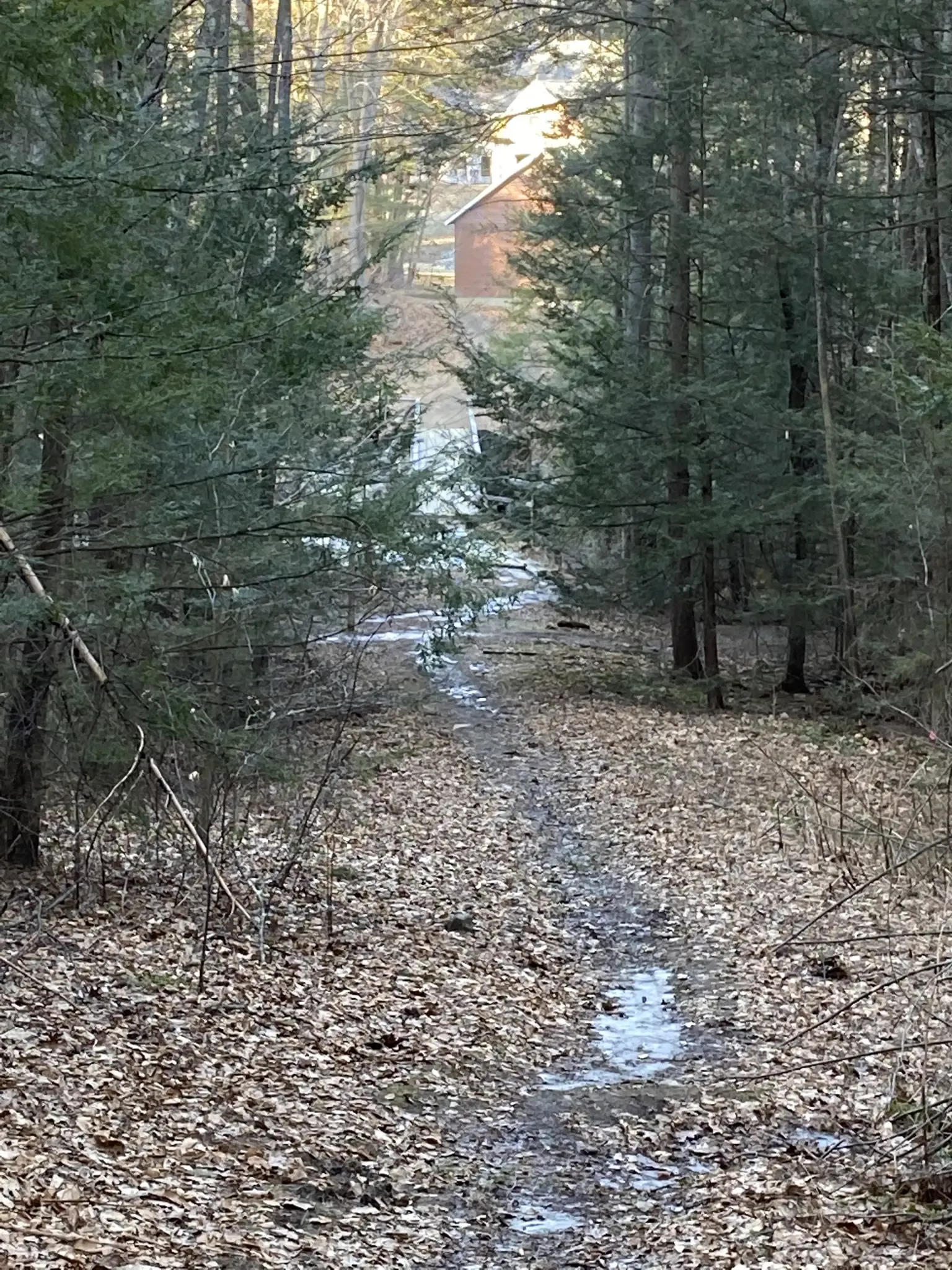 A narrow, leaf-covered forest path with puddles, leading to a distant building. - College Woods Natural Area Loop