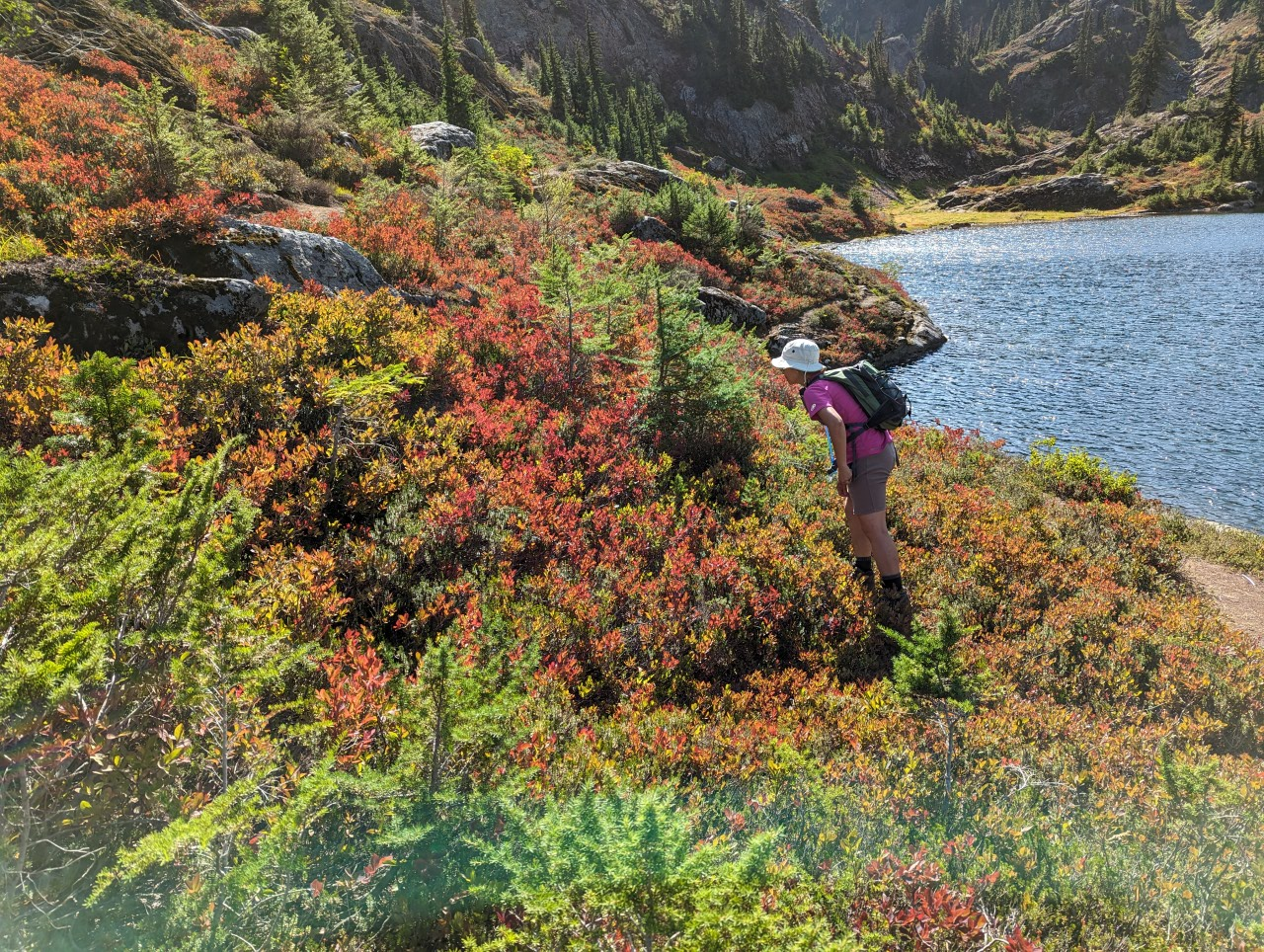 Hiker in colorful autumn foliage by a sunny mountain lake.