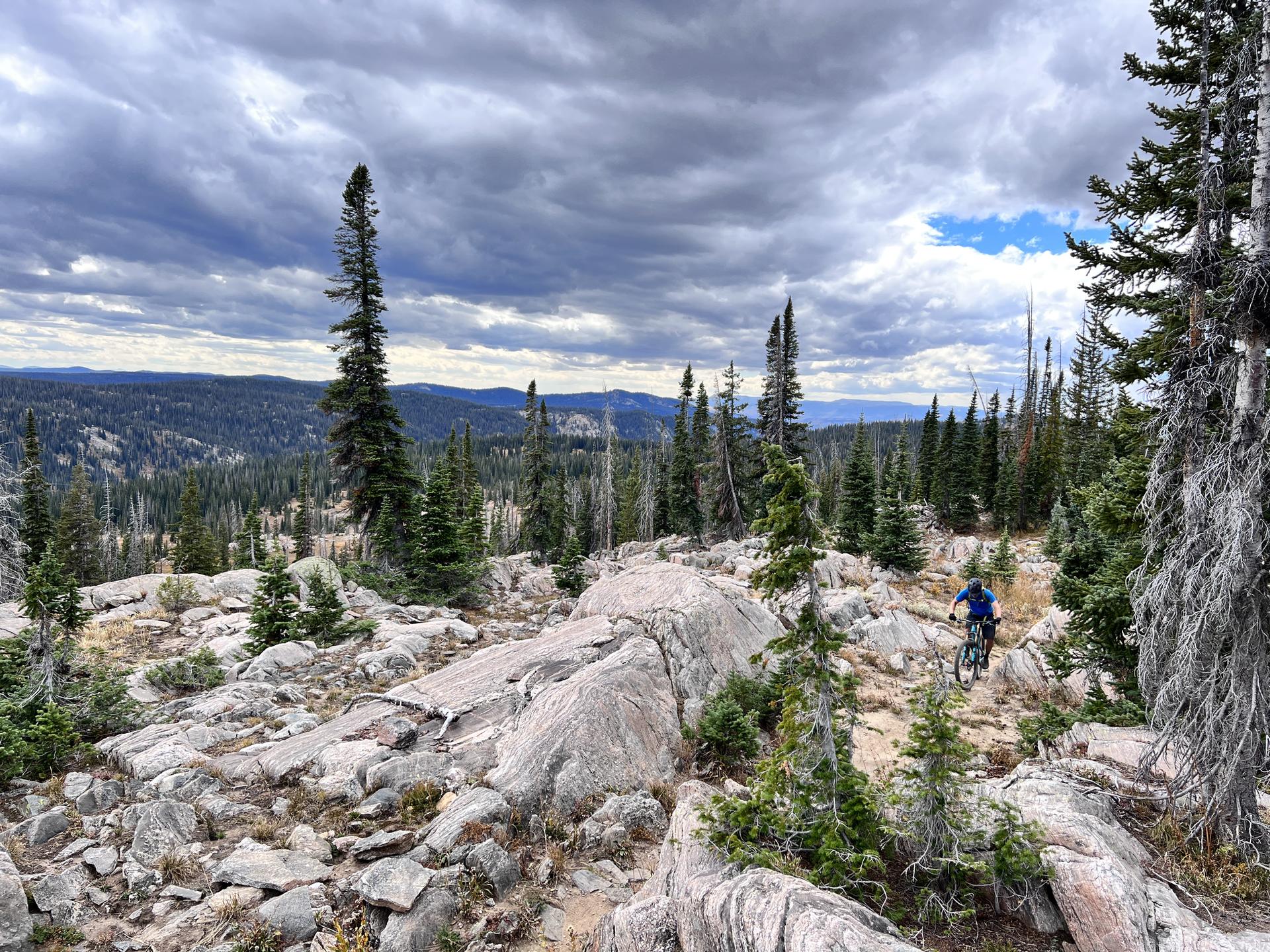 Mountain biker rides a trail through rocky terrain and evergreen trees.
