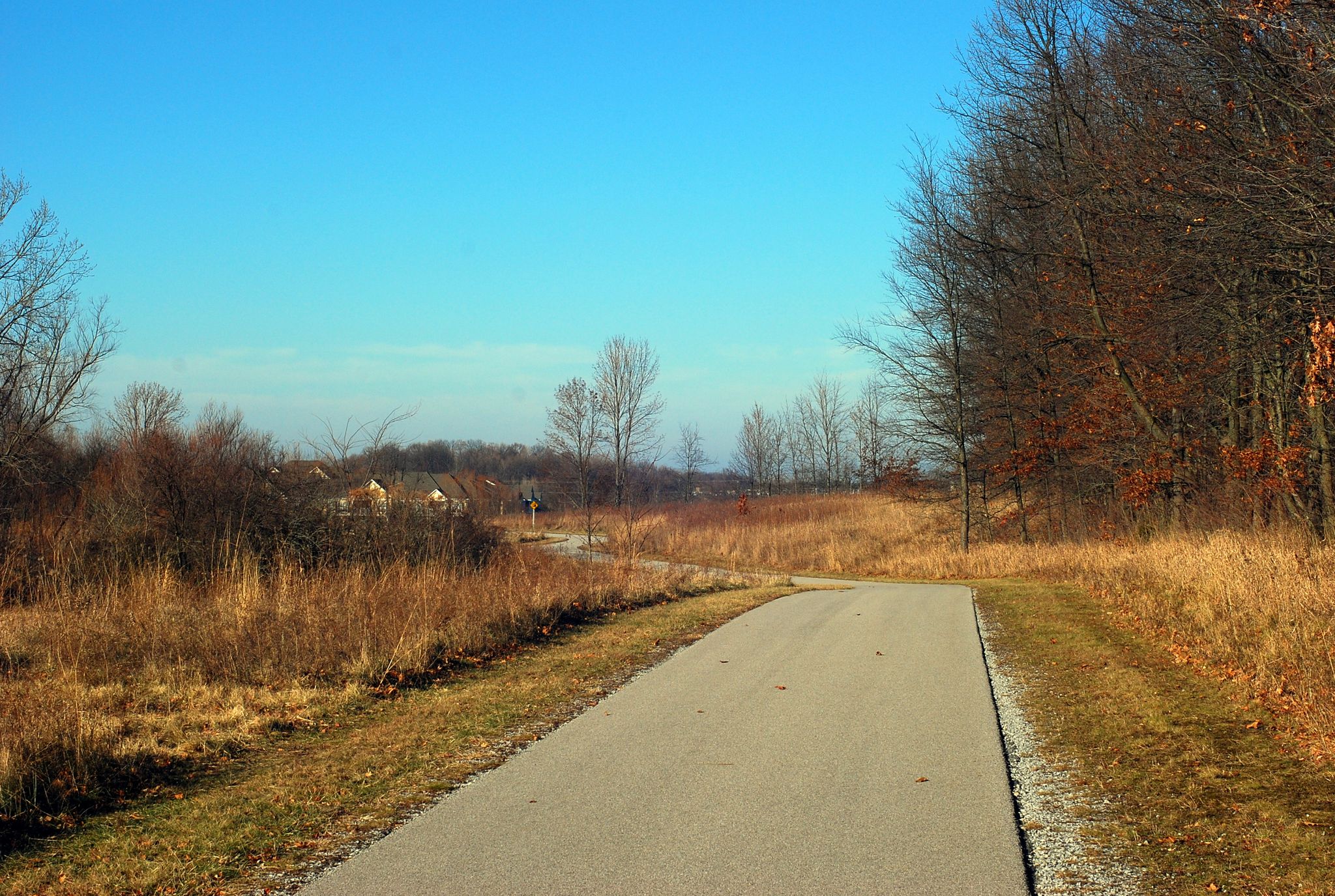Paved path winding through dry golden grass and bare trees under blue sky. - Cattail Trail Loop