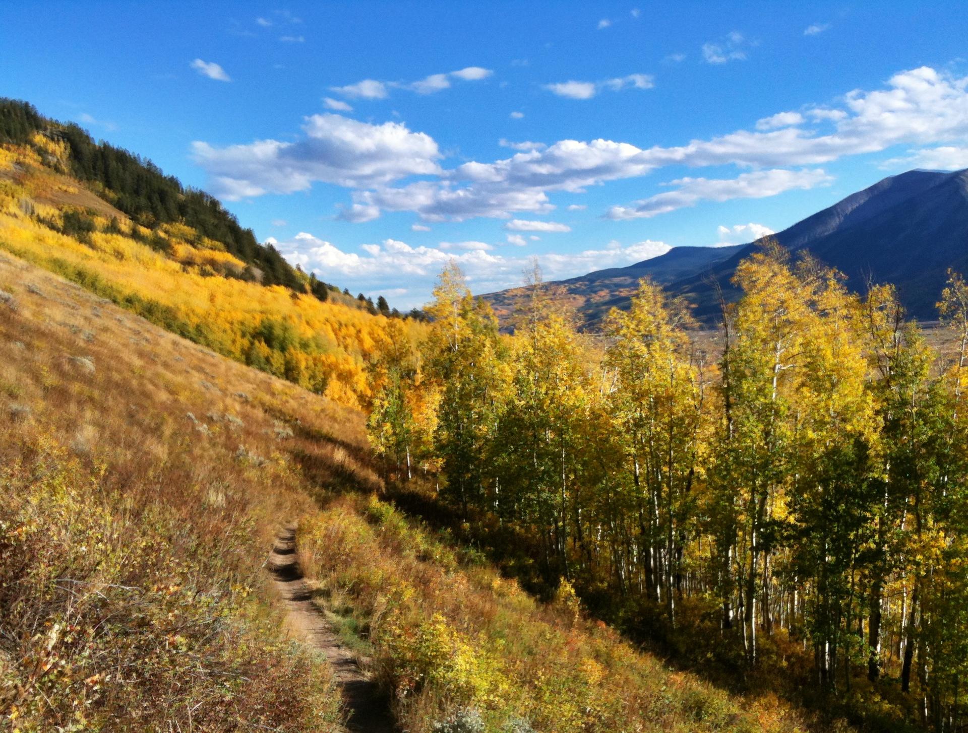 Dirt path winding through golden autumn trees on a sunny mountain slope.