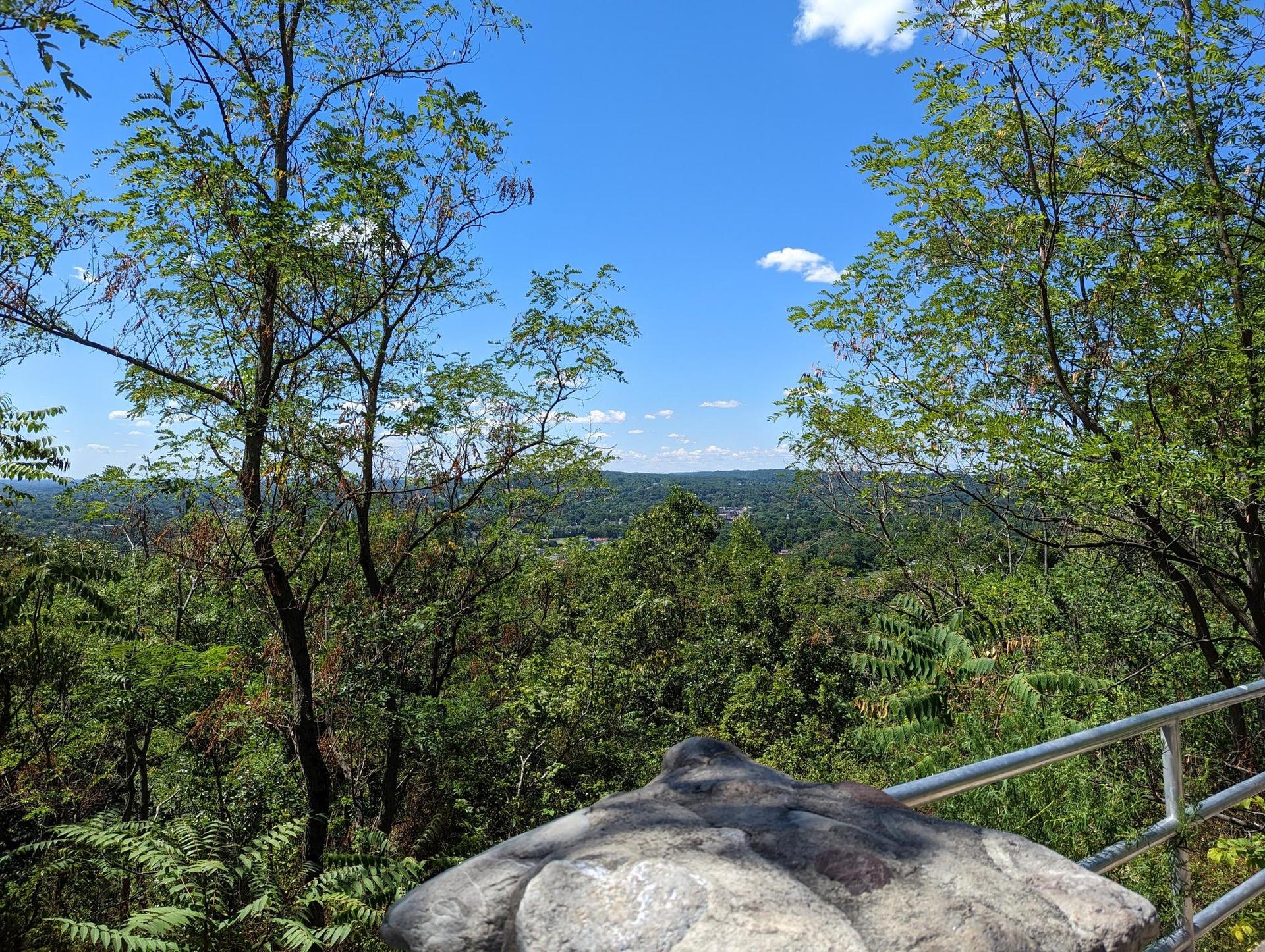 Sunny overlook of a vast green forest valley under a blue sky.