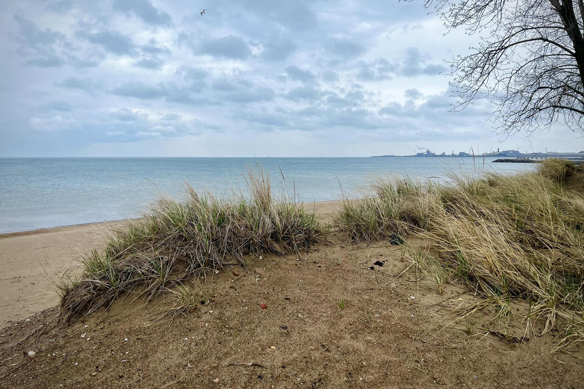 Overcast sky over a sandy beach with tall grass and calm water.
