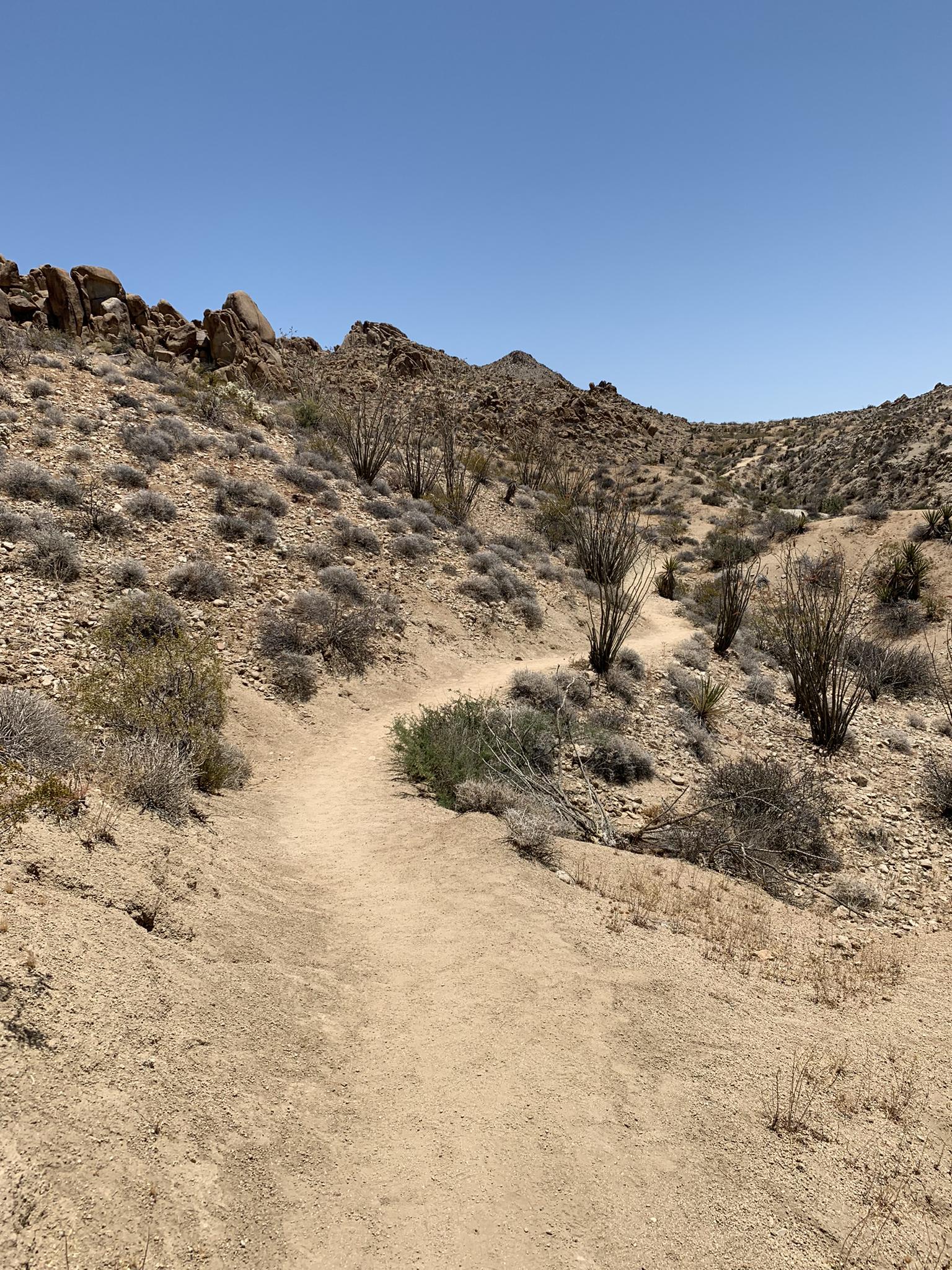 A winding dirt path through a dry, rocky desert landscape under clear sky.