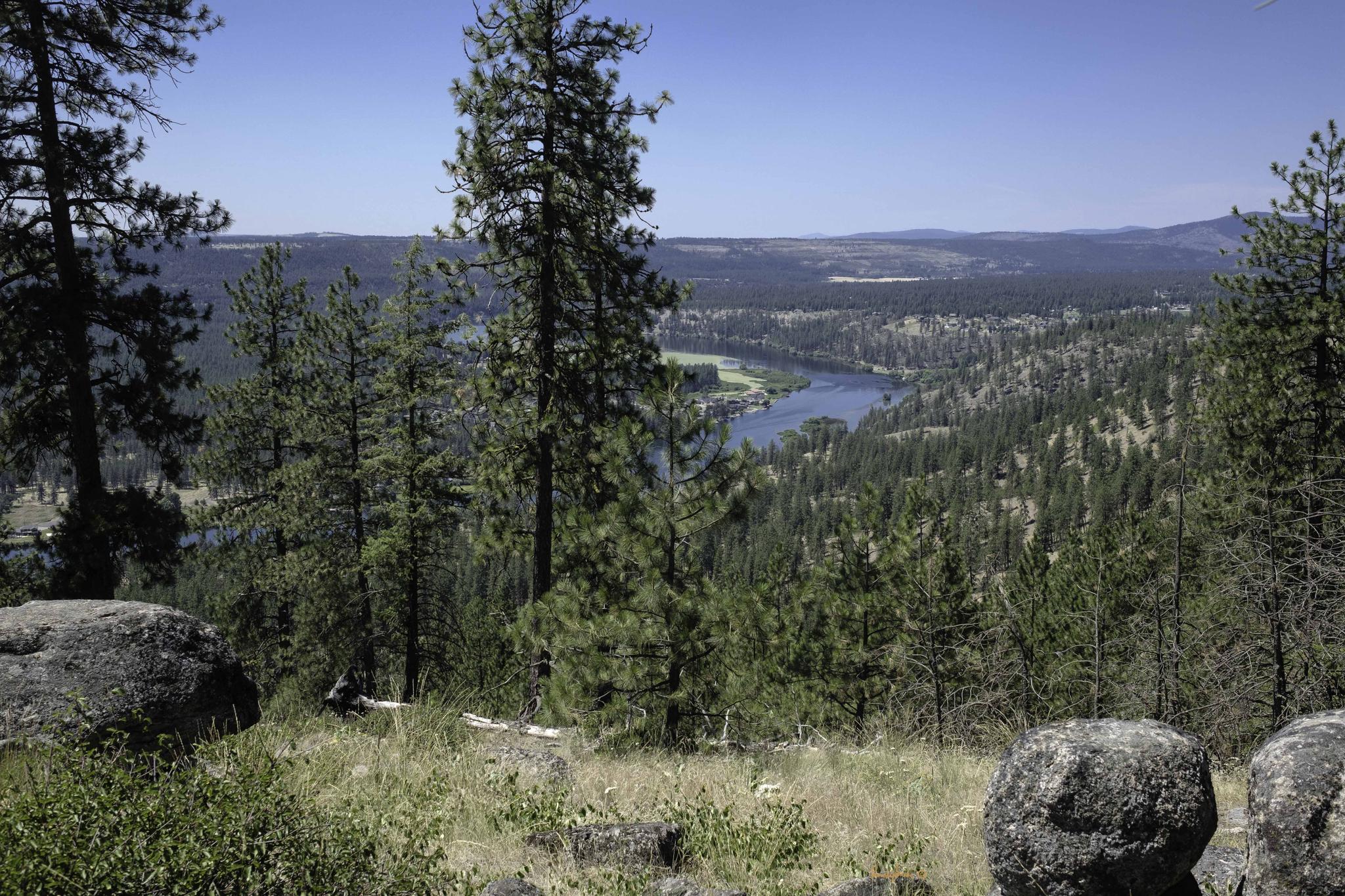 Sunny view of a river winding through a pine forest valley.