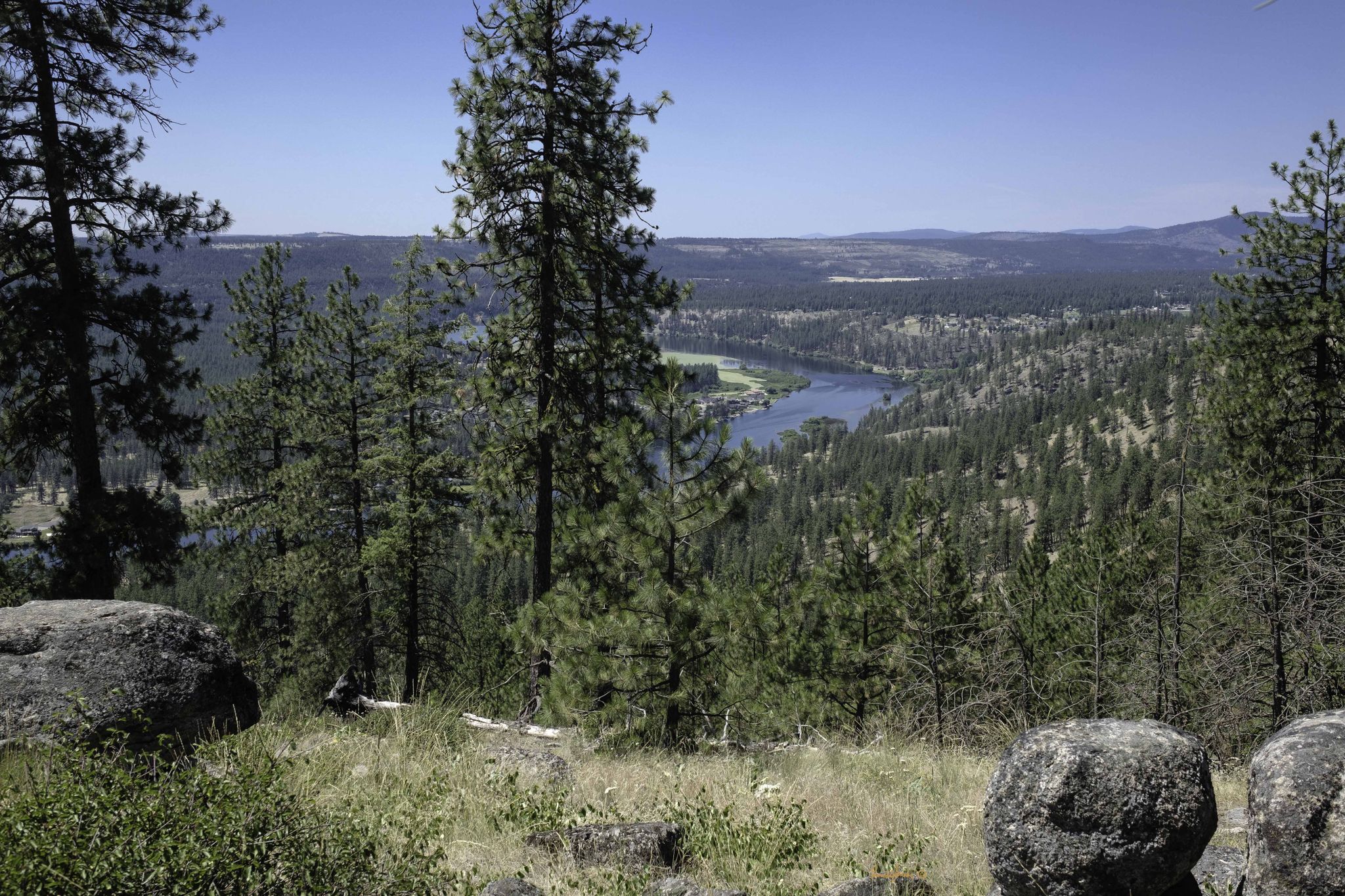 Sunny view of a river winding through a pine forest valley. - Knothead Valley Loop