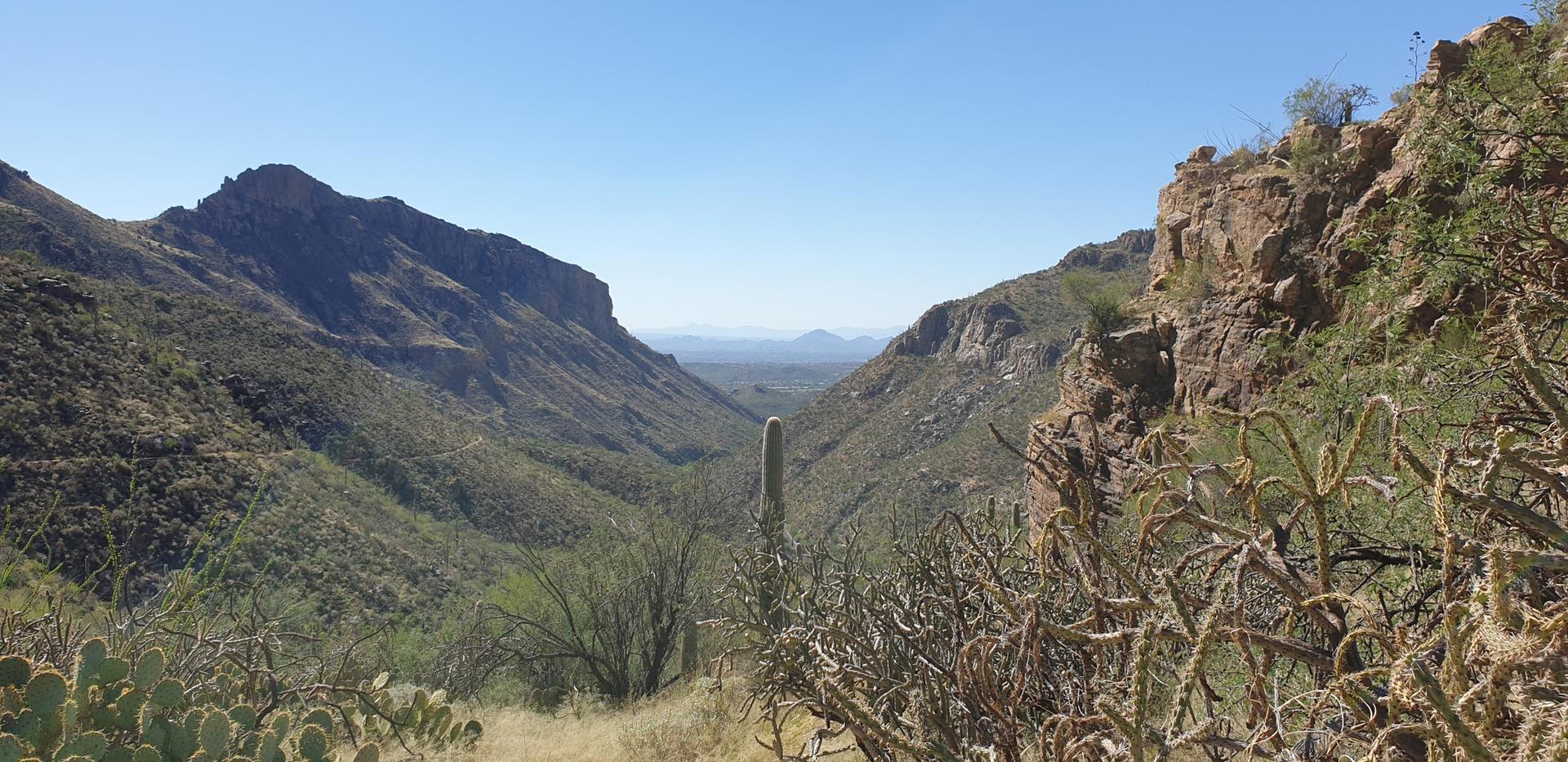 Wide desert canyon view with distant mountains and cacti in the foreground.