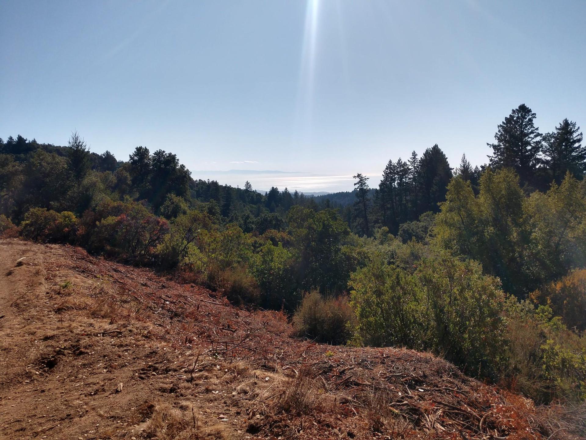 Sunny panoramic view over a forested valley with distant water.