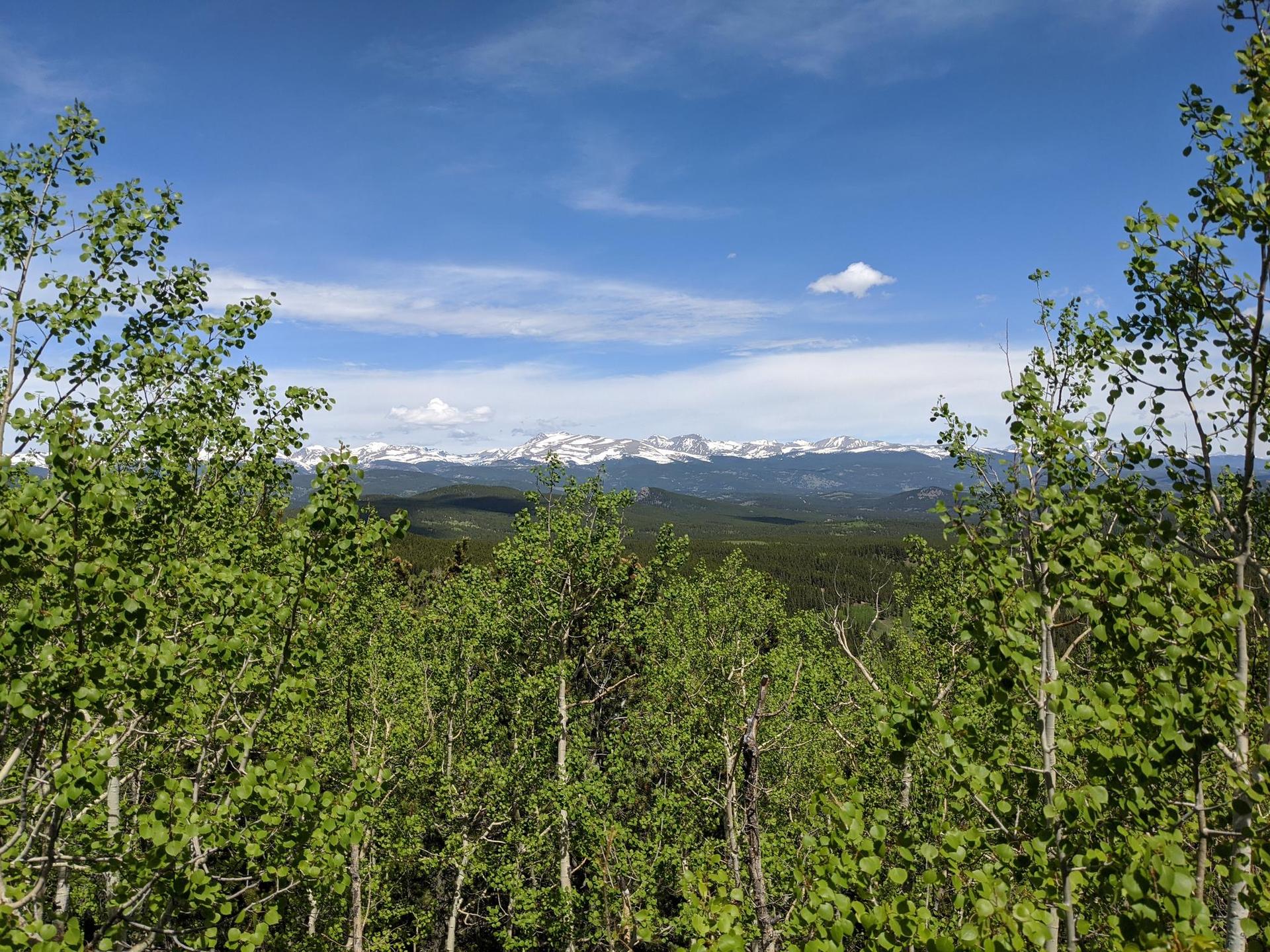 Green treetops frame distant snow-capped mountains under a bright blue sky.