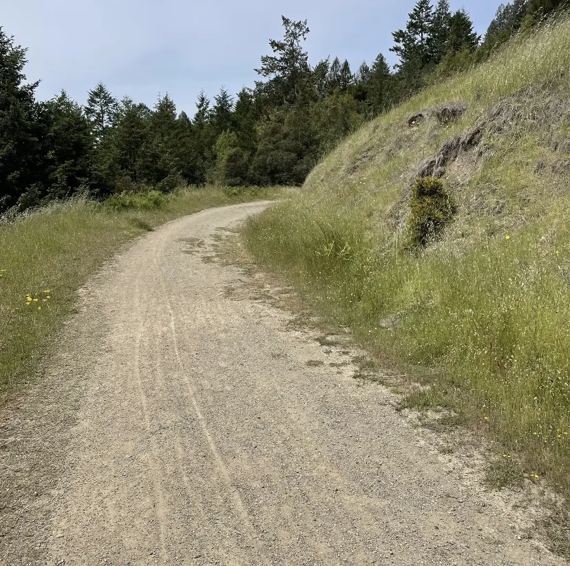 A gravel path curves uphill beside a grassy slope under a bright sky.