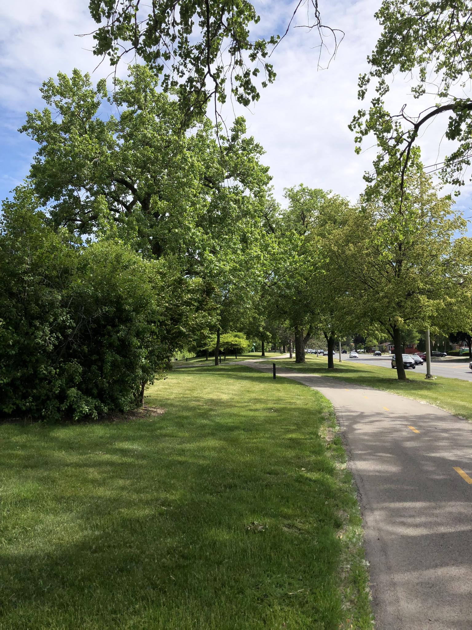 A paved path winds through a sunny park with green grass and large trees.