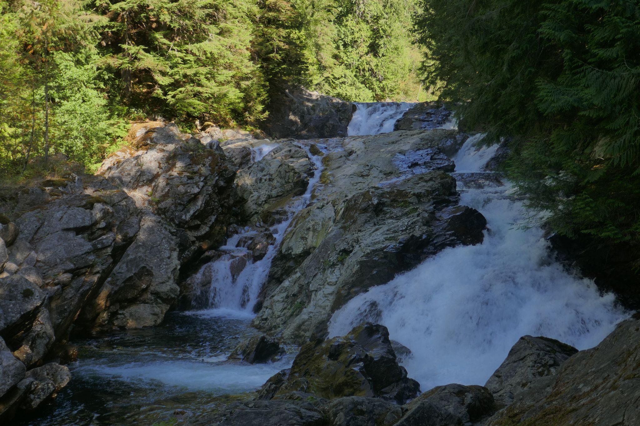 Multi-tiered waterfall cascades over dark rocks in a lush green forest. - Weeks Falls Interpretive Trail