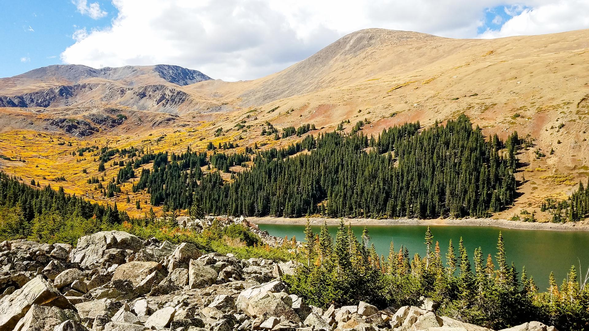 A vibrant green lake at the base of golden mountains and evergreen trees.