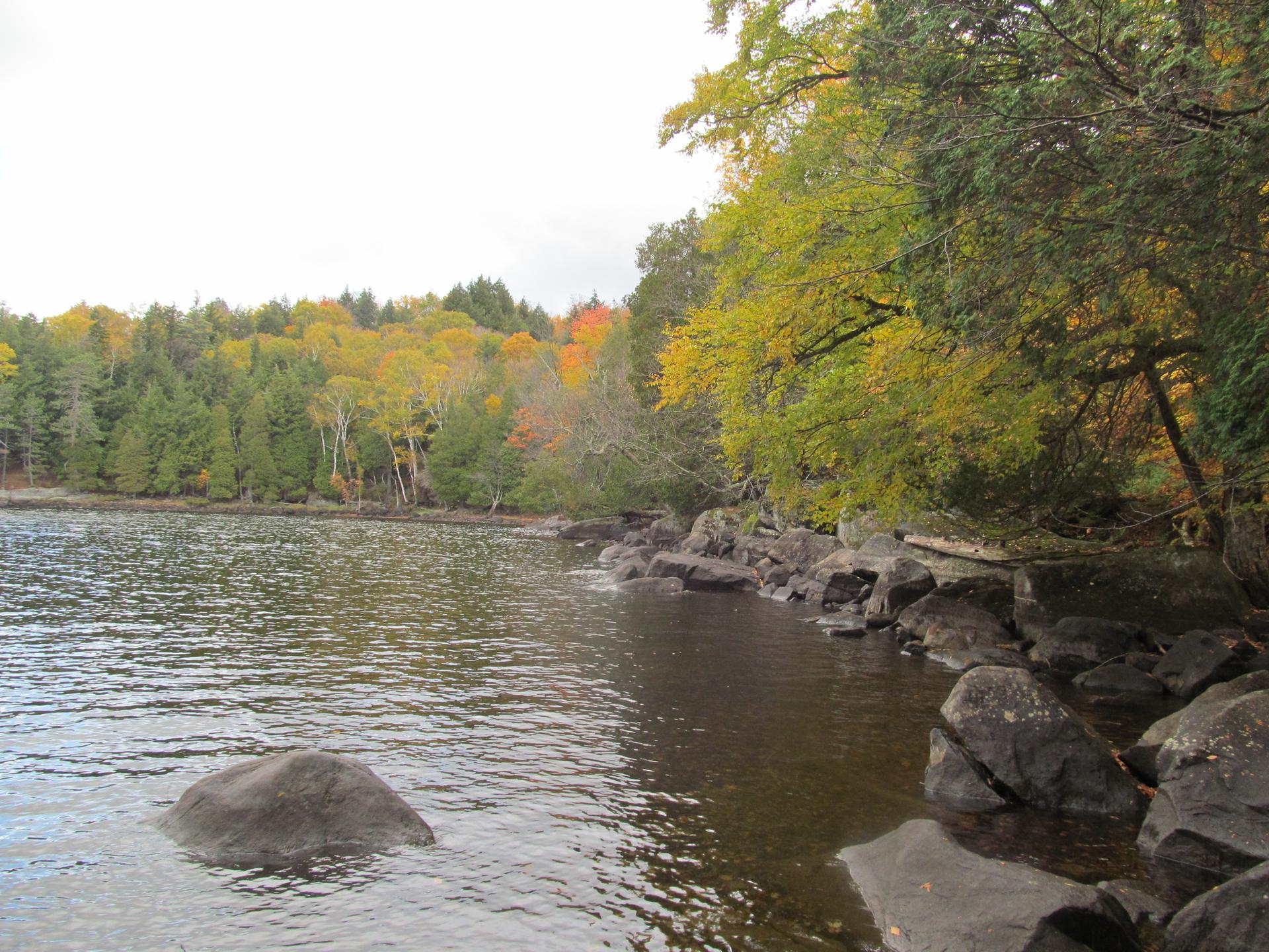 Rocky lake shore with autumn trees under an overcast sky.