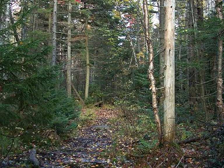 Stratton Mountain, Stratton Pond and Bourne Pond loop via Appalachian ...