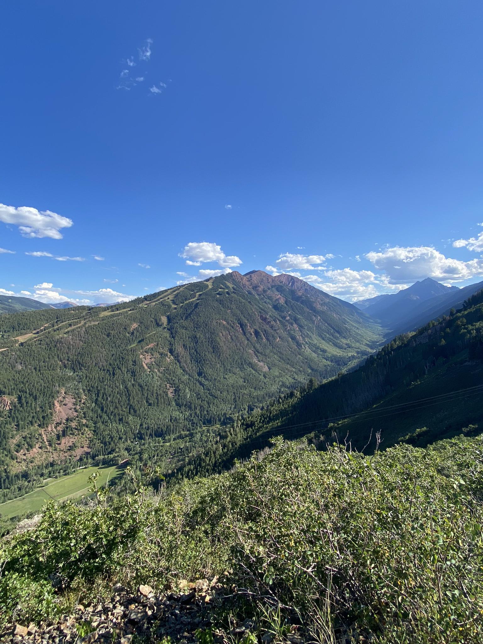 Expansive mountain vista with green forests, a valley, and bright blue sky.