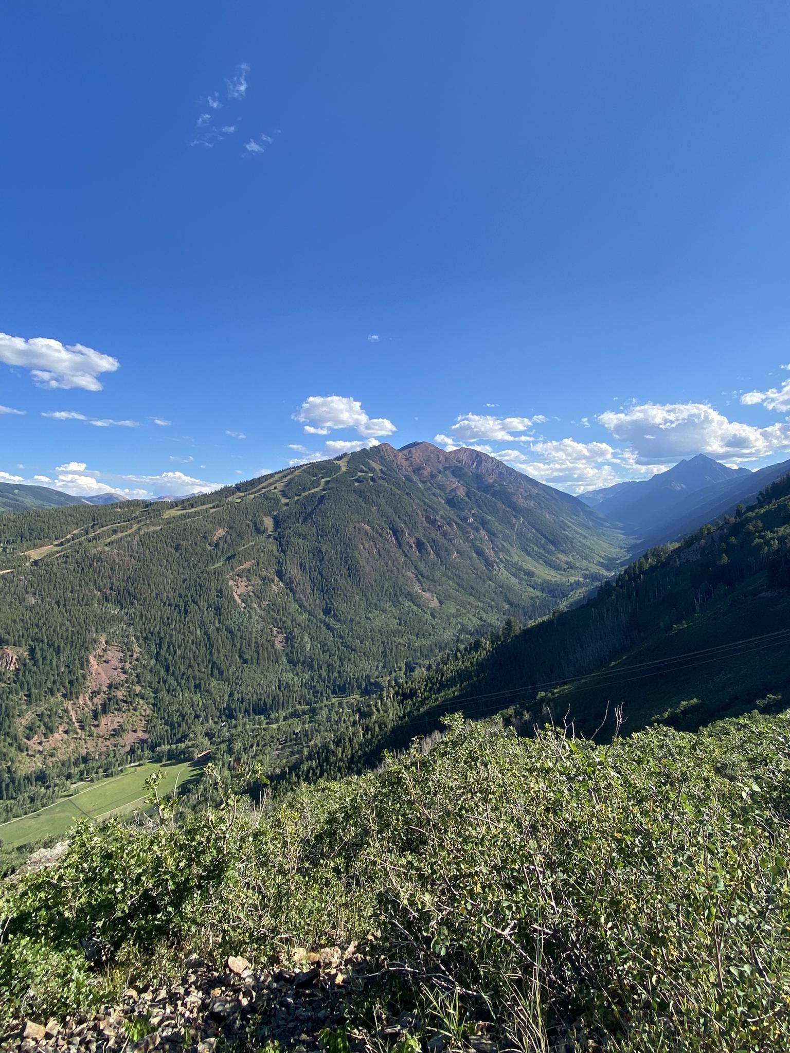 Expansive mountain vista with green forests, a valley, and bright blue sky. - Government Trail and Buttermilk Ridge Loop