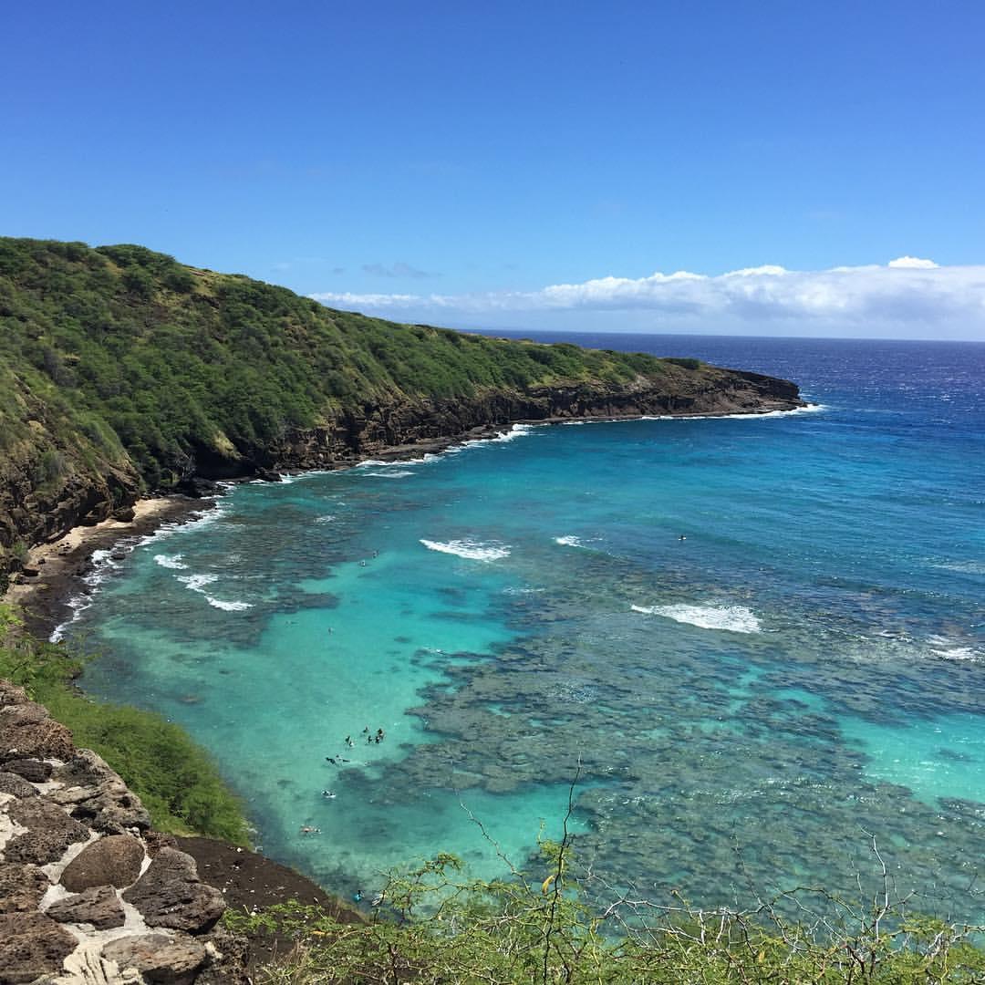 Sunny view of clear turquoise ocean, coral reefs, and swimmers near a rocky coast.