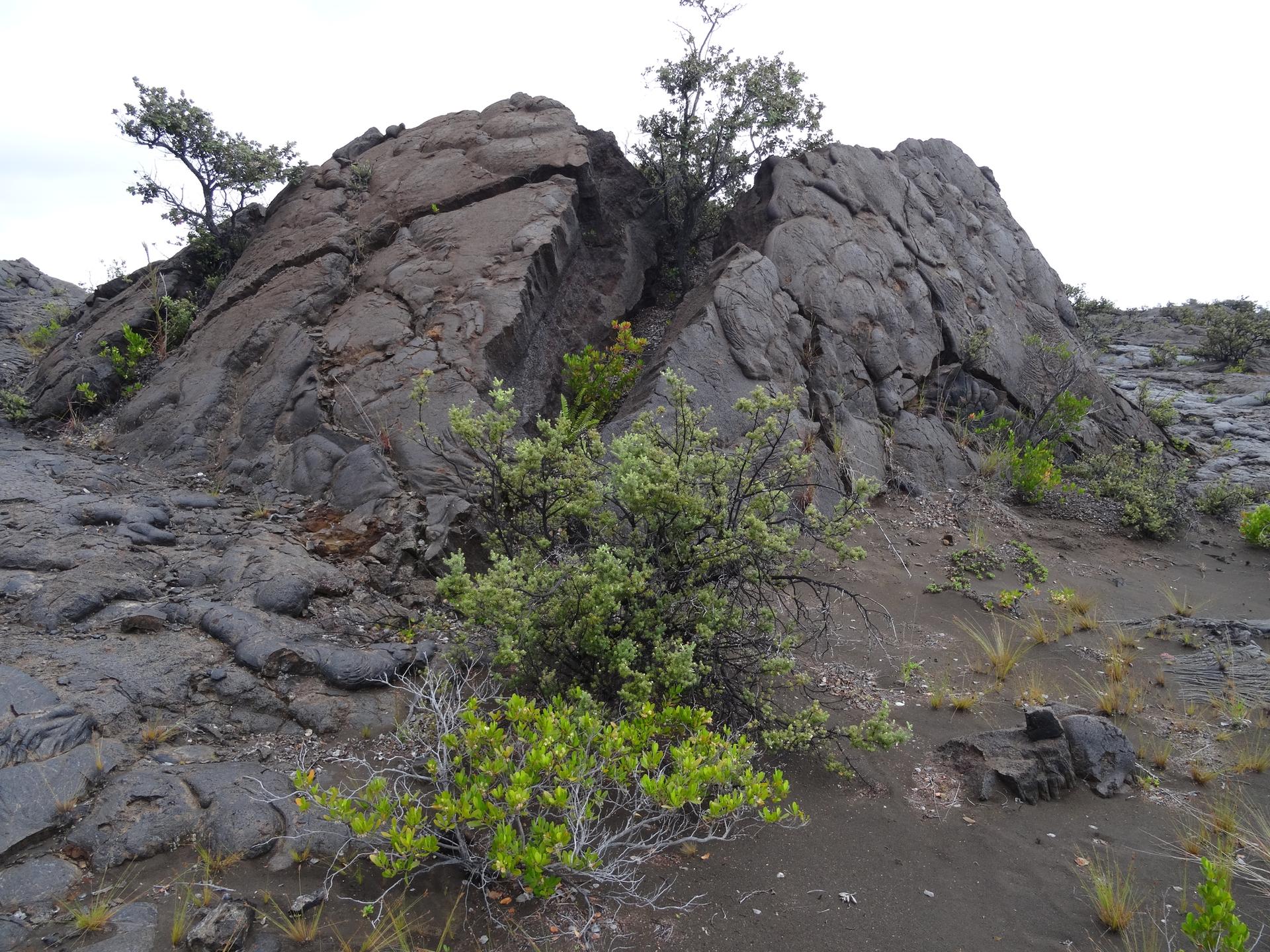 Dark volcanic rock formation with green shrubs and trees under an overcast sky.