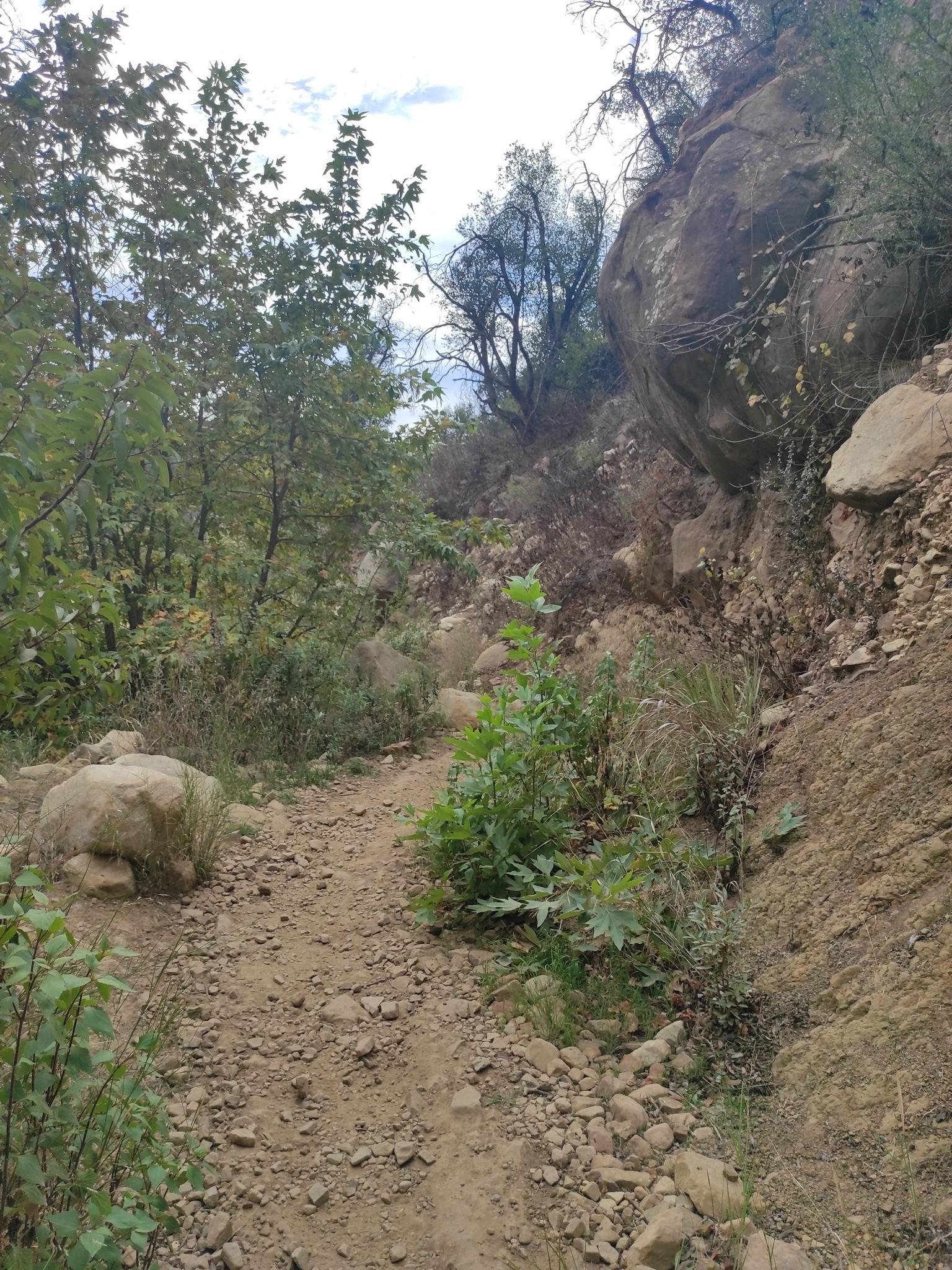 A winding dirt path surrounded by large rocks and green trees.