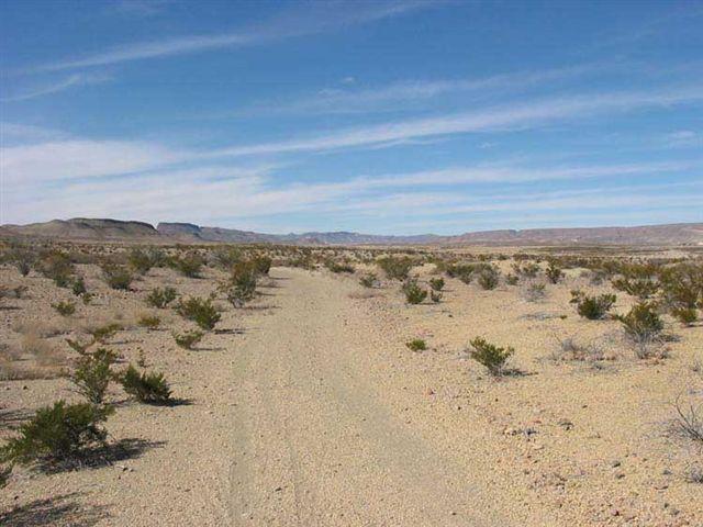 Sunny desert landscape with a dirt road, sparse vegetation, and distant mountains.