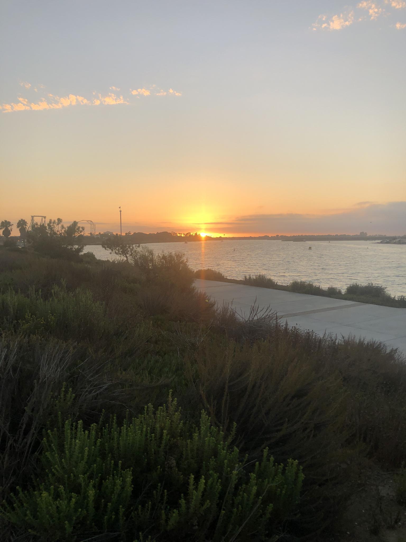 Golden sunset over calm water with green bushes and a paved path.