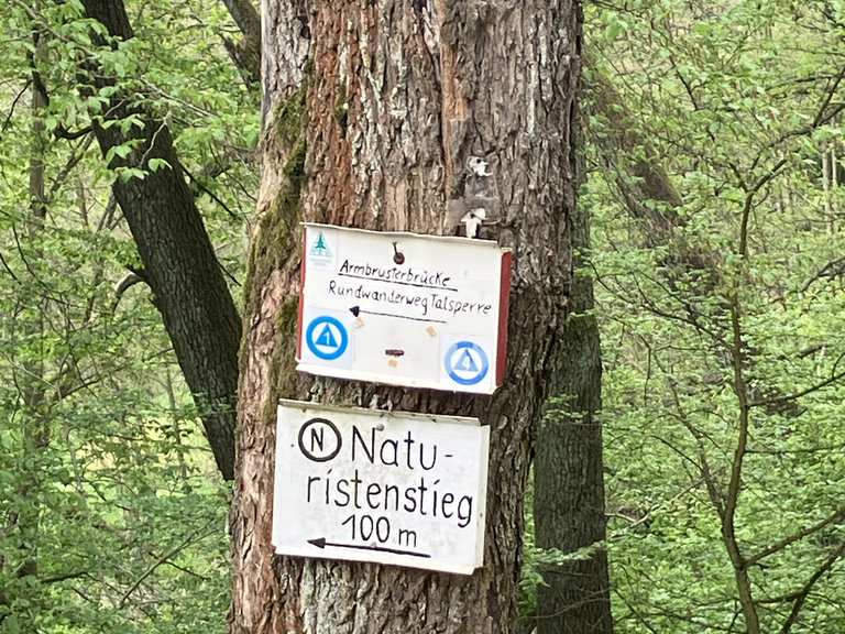 harz-naturist-trail-routes-for-walking-and-hiking-komoot